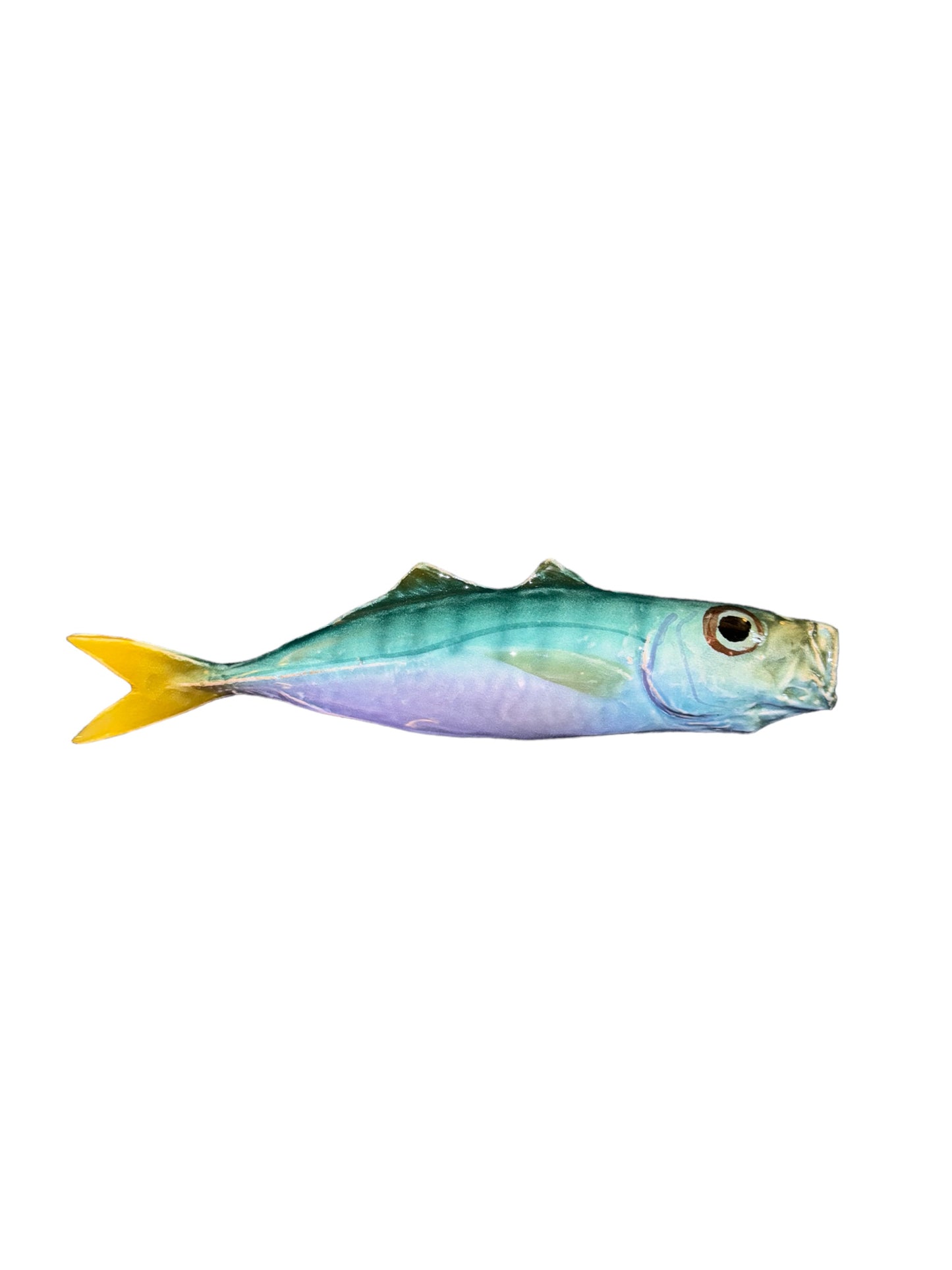 Sugarello - Horse Mackerel