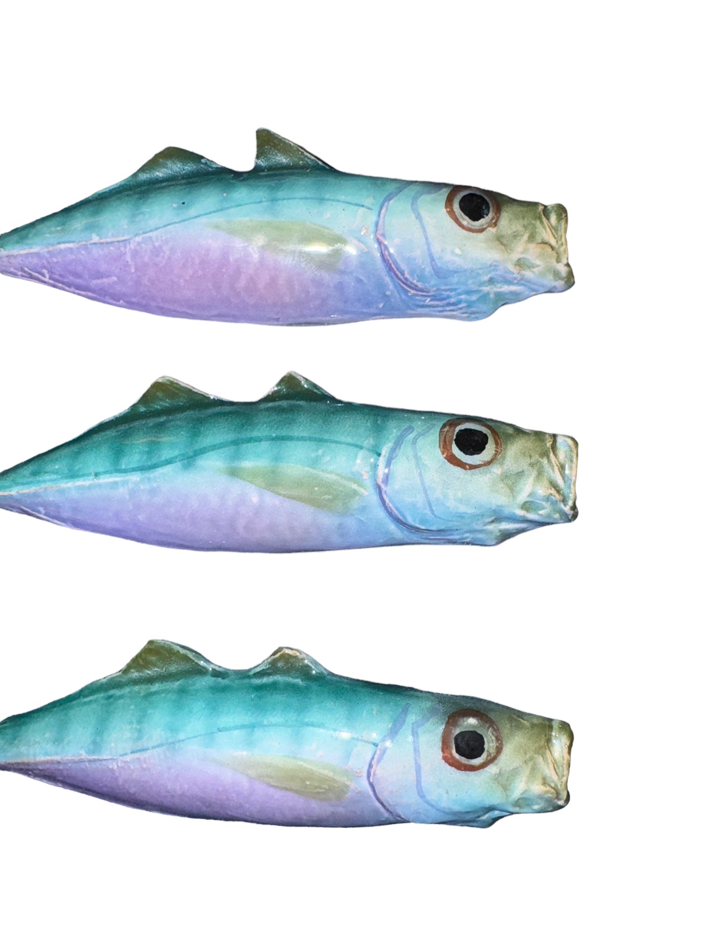 Sugarello - Horse Mackerel