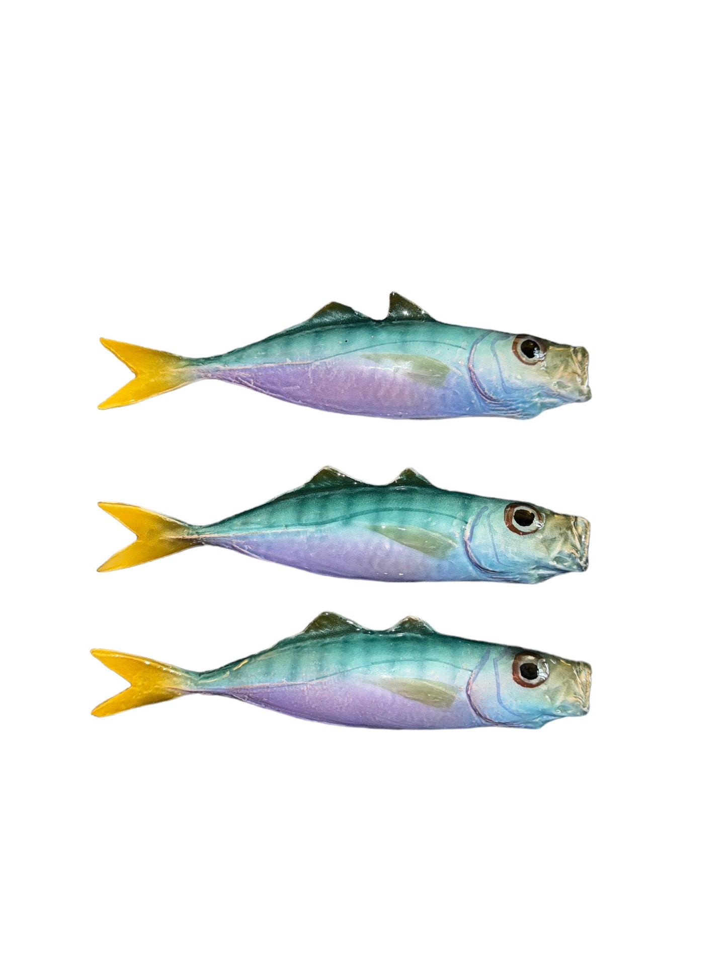 Sugarello - Horse Mackerel
