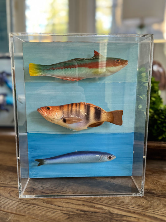 Mediterranean Trio  -      8"x10"