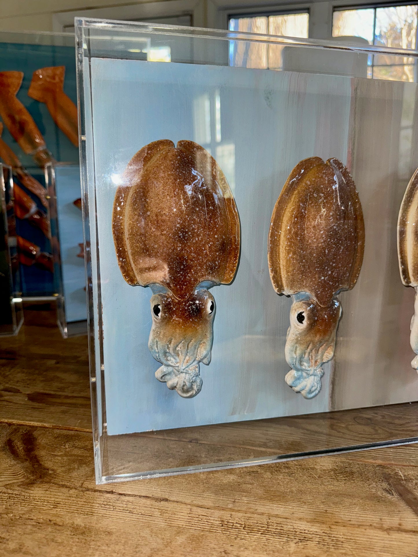 Cuttlefish School - 12"x24"