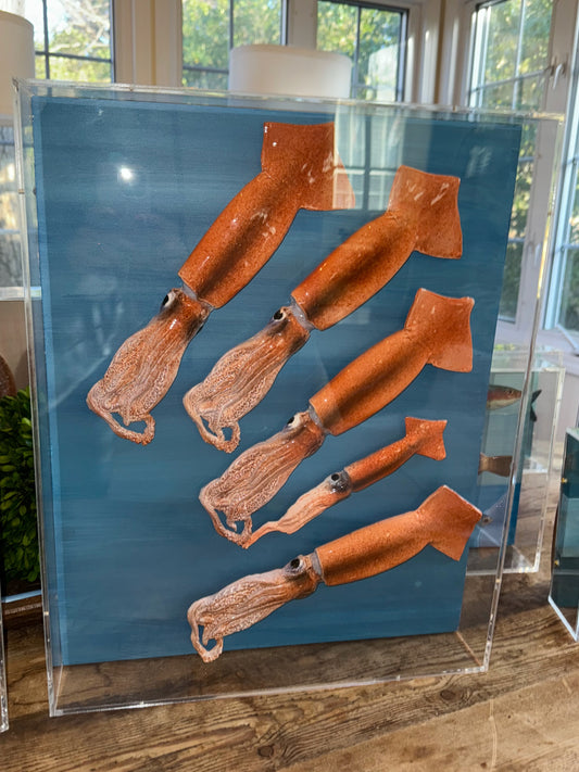 Big Squid - Swimming Right 16"x24"