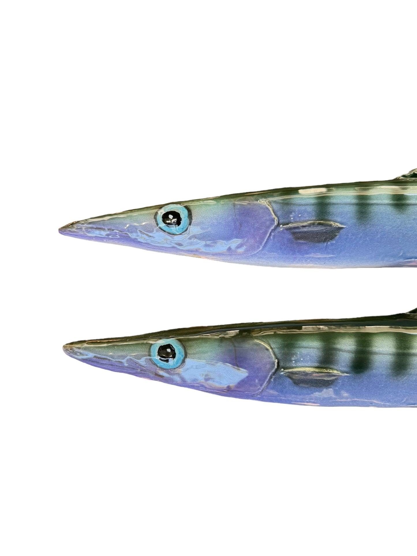 Barracuda - Barracuda