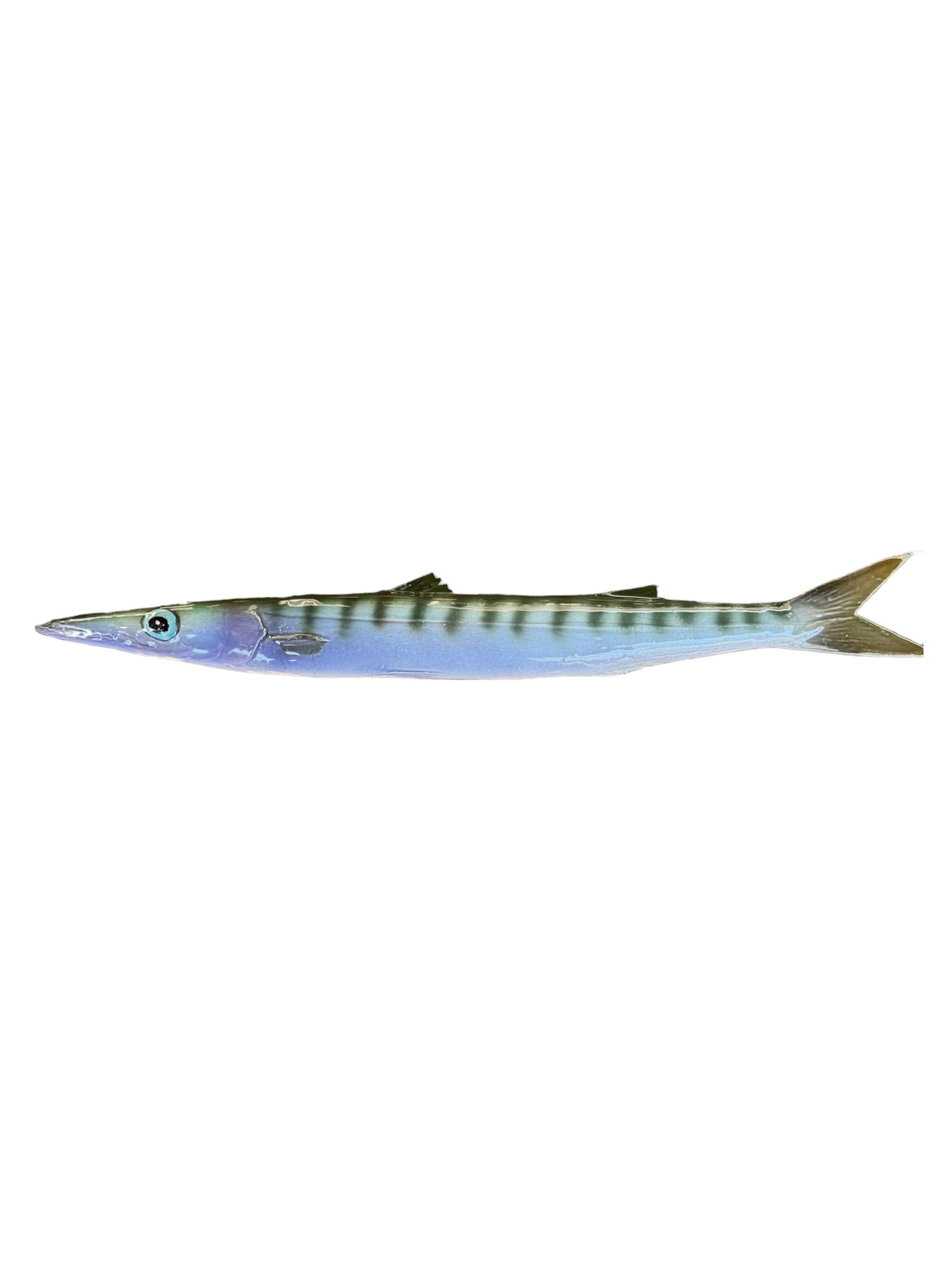Barracuda - Barracuda