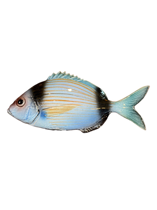 Vaiorata - Two-Banded Sea Bream