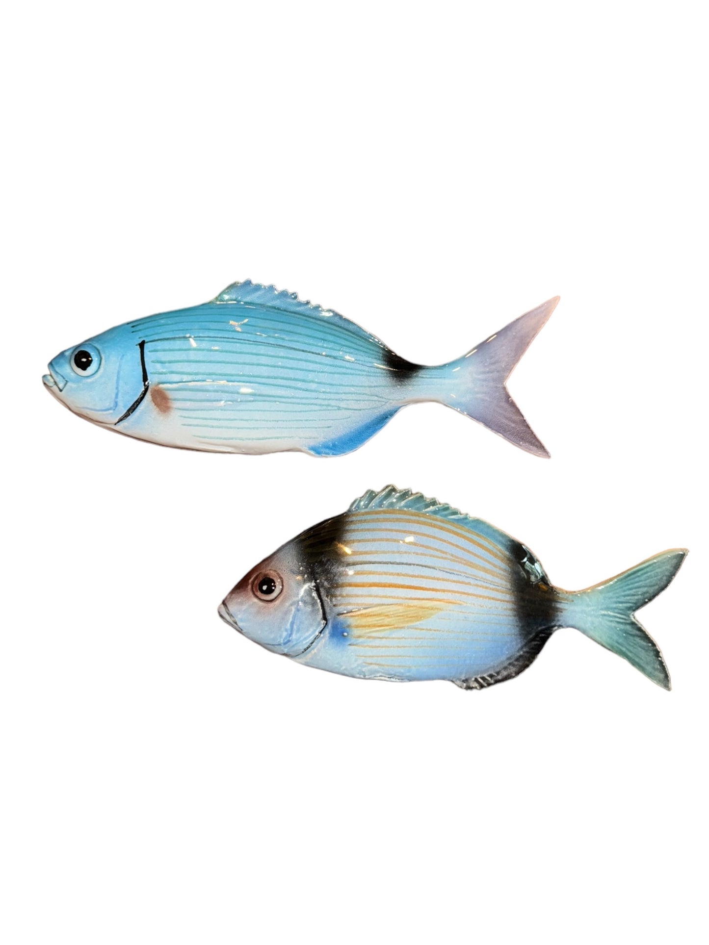 Vaiorata - Two-Banded Sea Bream