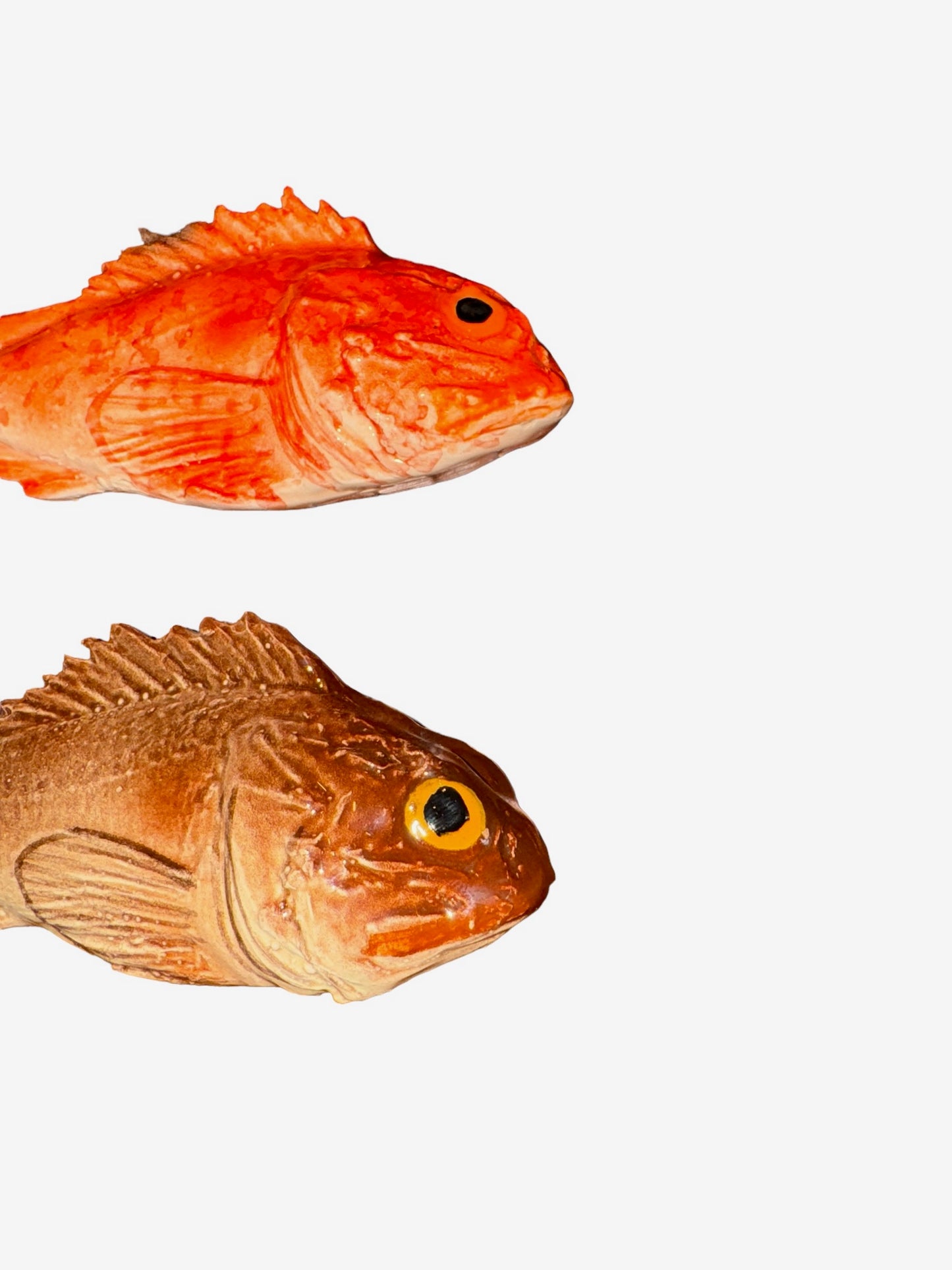 Scorfano - Brown Rockfish
