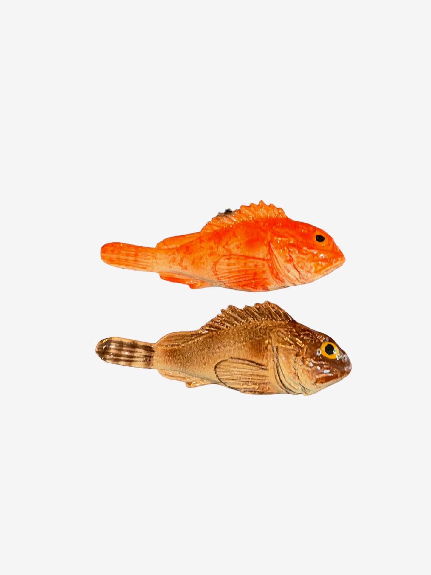 Scorfano - Brown Rockfish