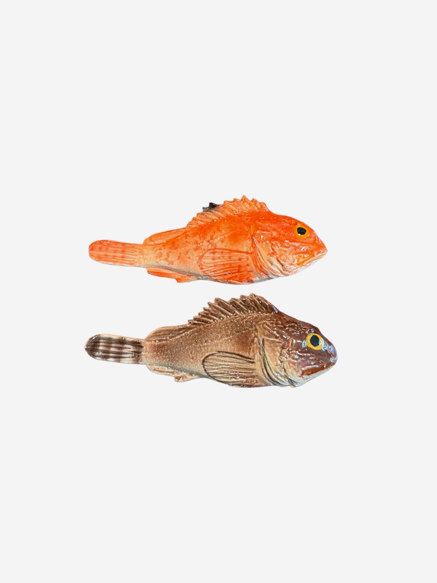 Scorfano - Brown Rockfish