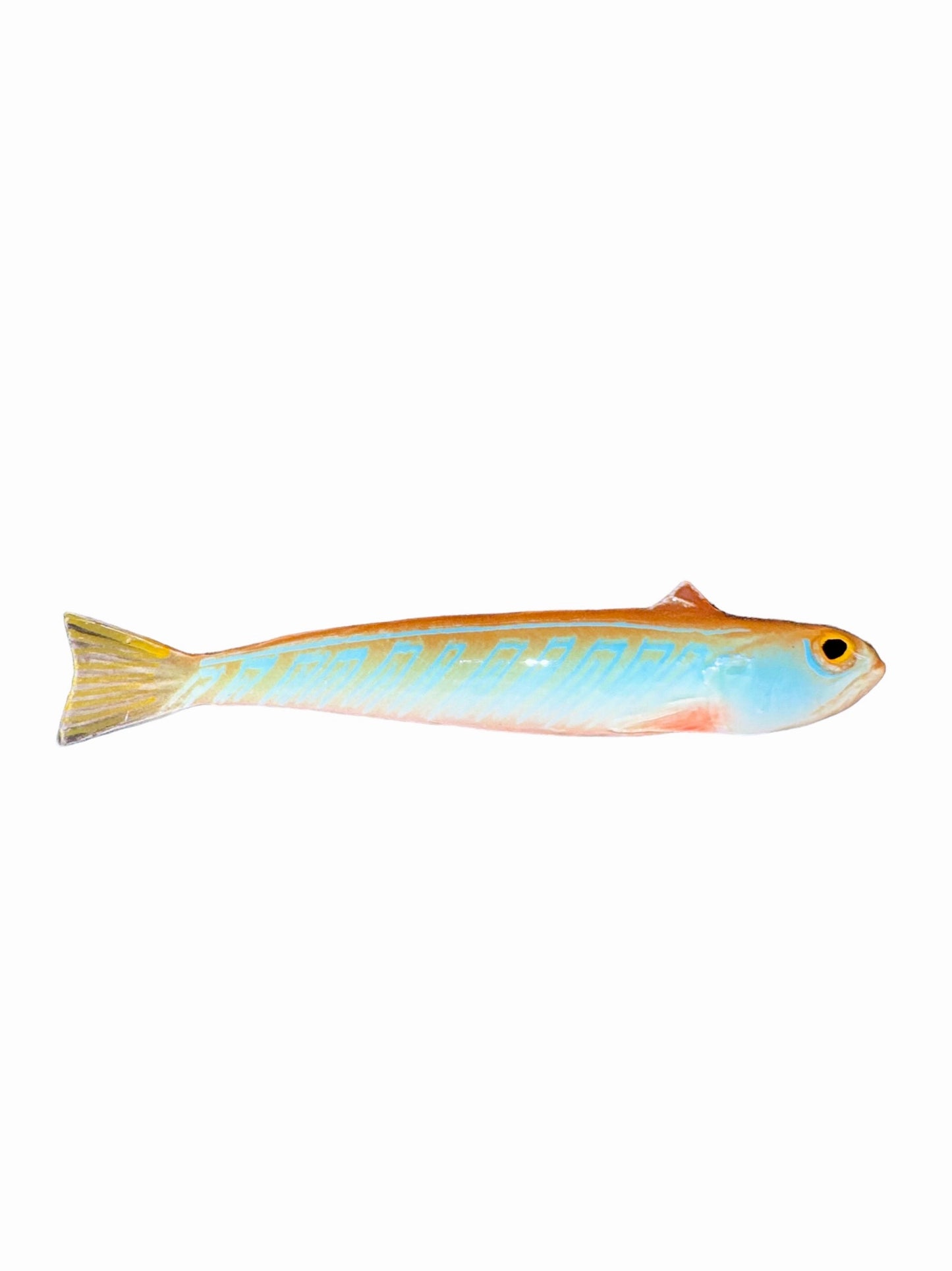 Tracina - Weeverfish