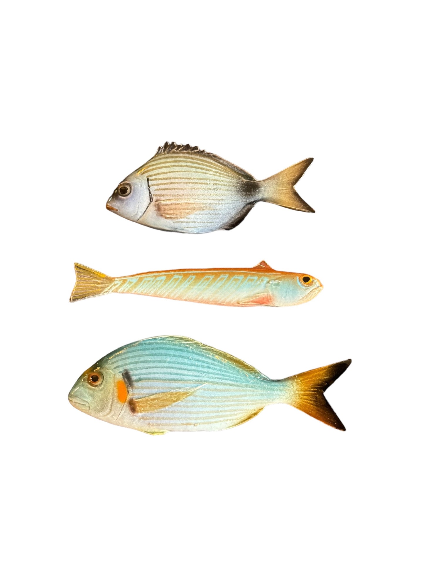 Tracina - Weeverfish