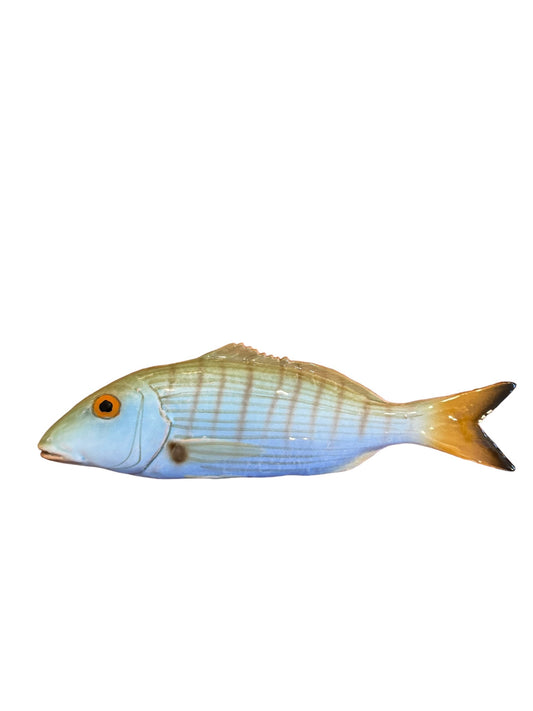 Marmora - Striped Sea Bream