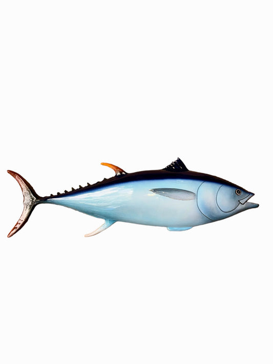 Tonno Grande - Big Tuna