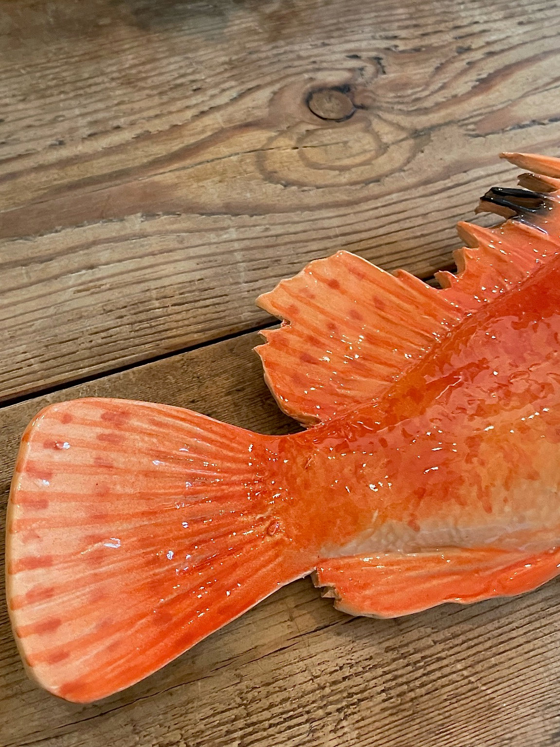 Cipolla - Red Scorpianfish