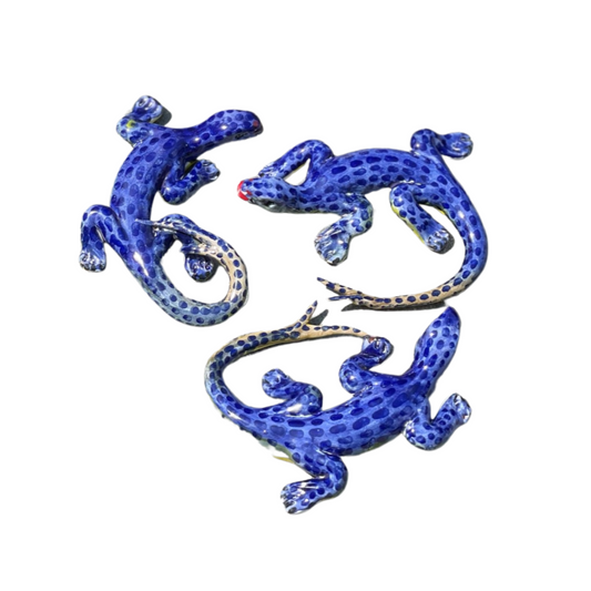 Lucertola Azzurra - Blue Lizard