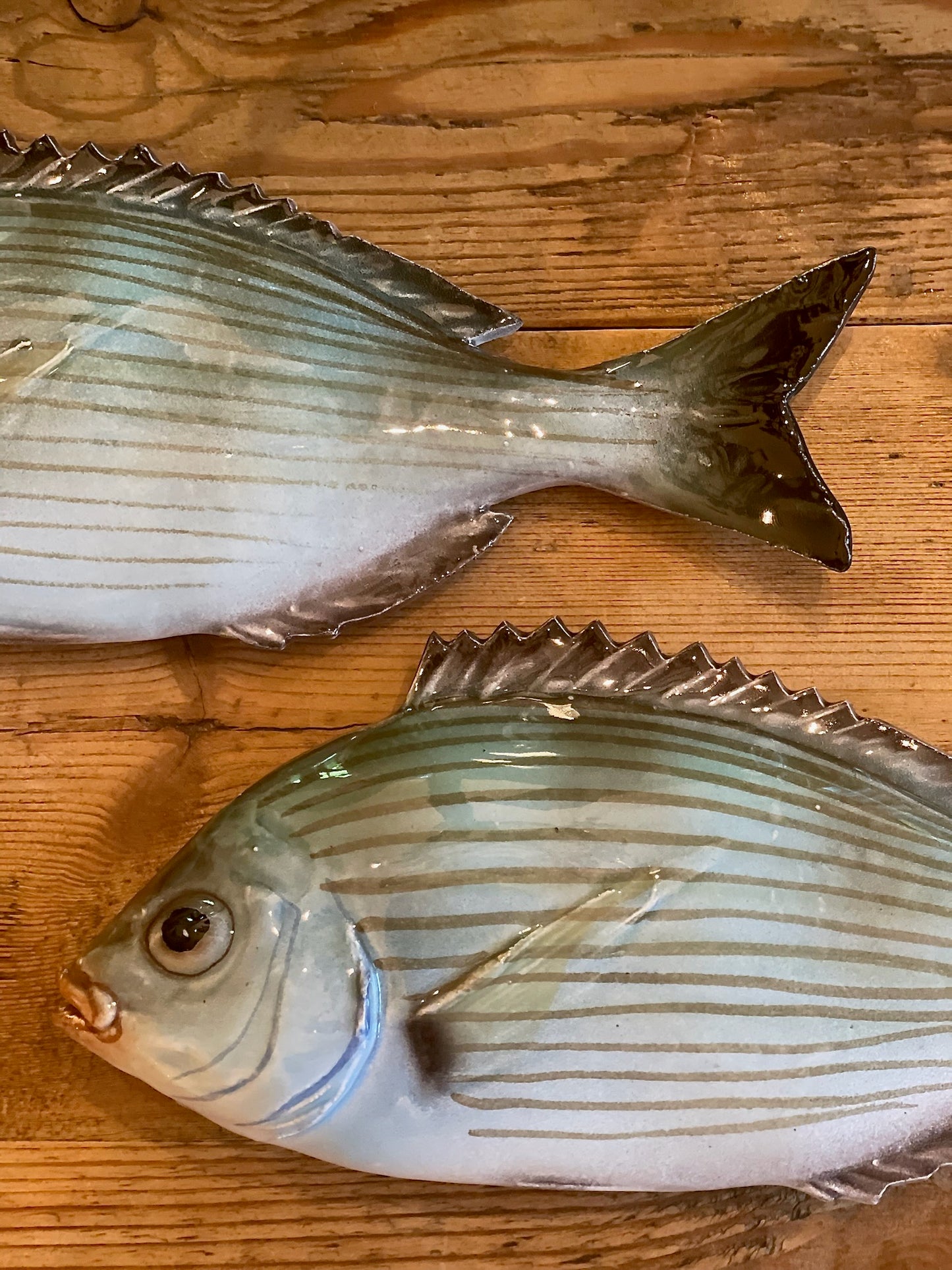 Tanuta - Black Sea Bream