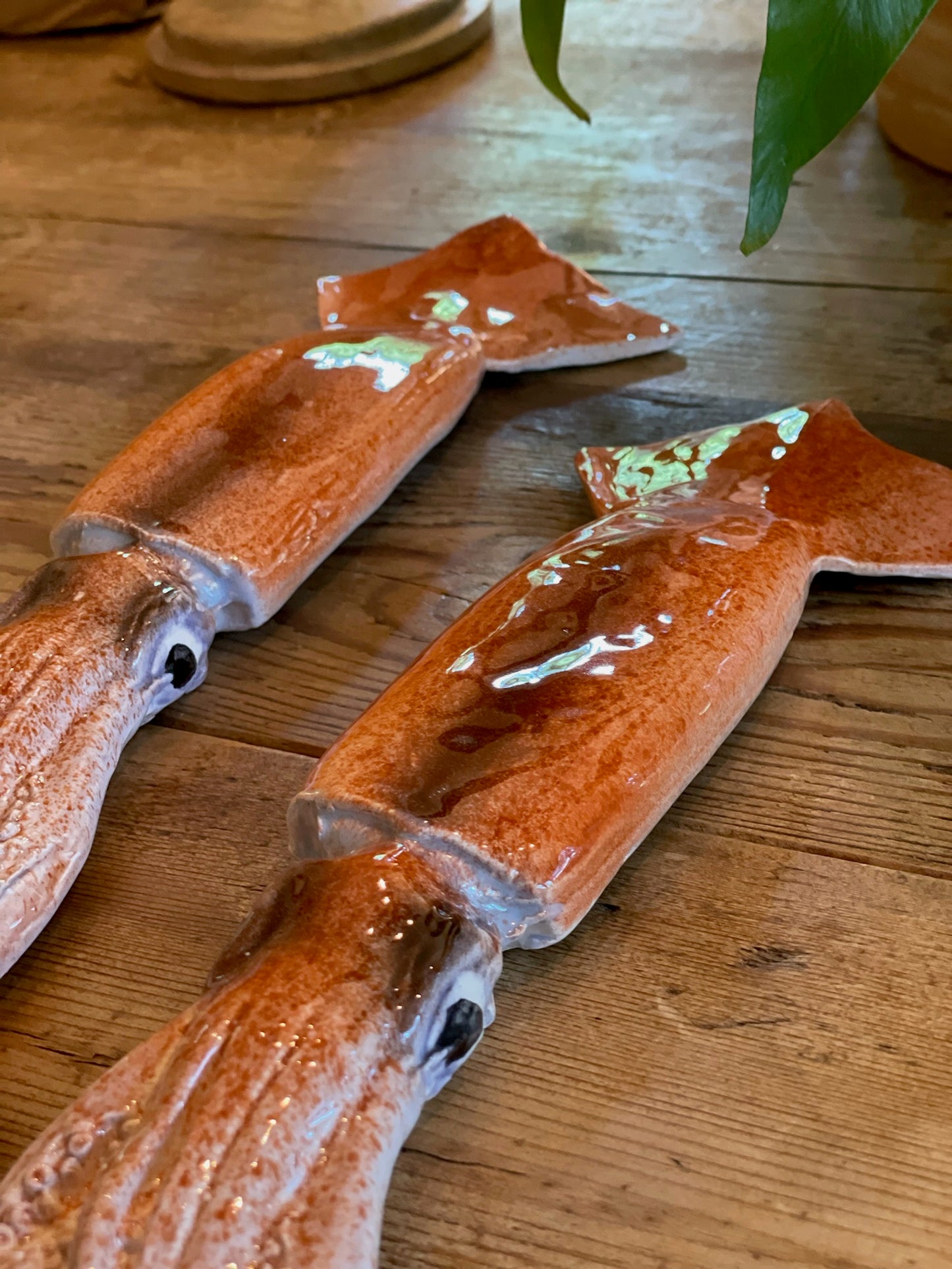 Totano Grande - Large Flying Squid