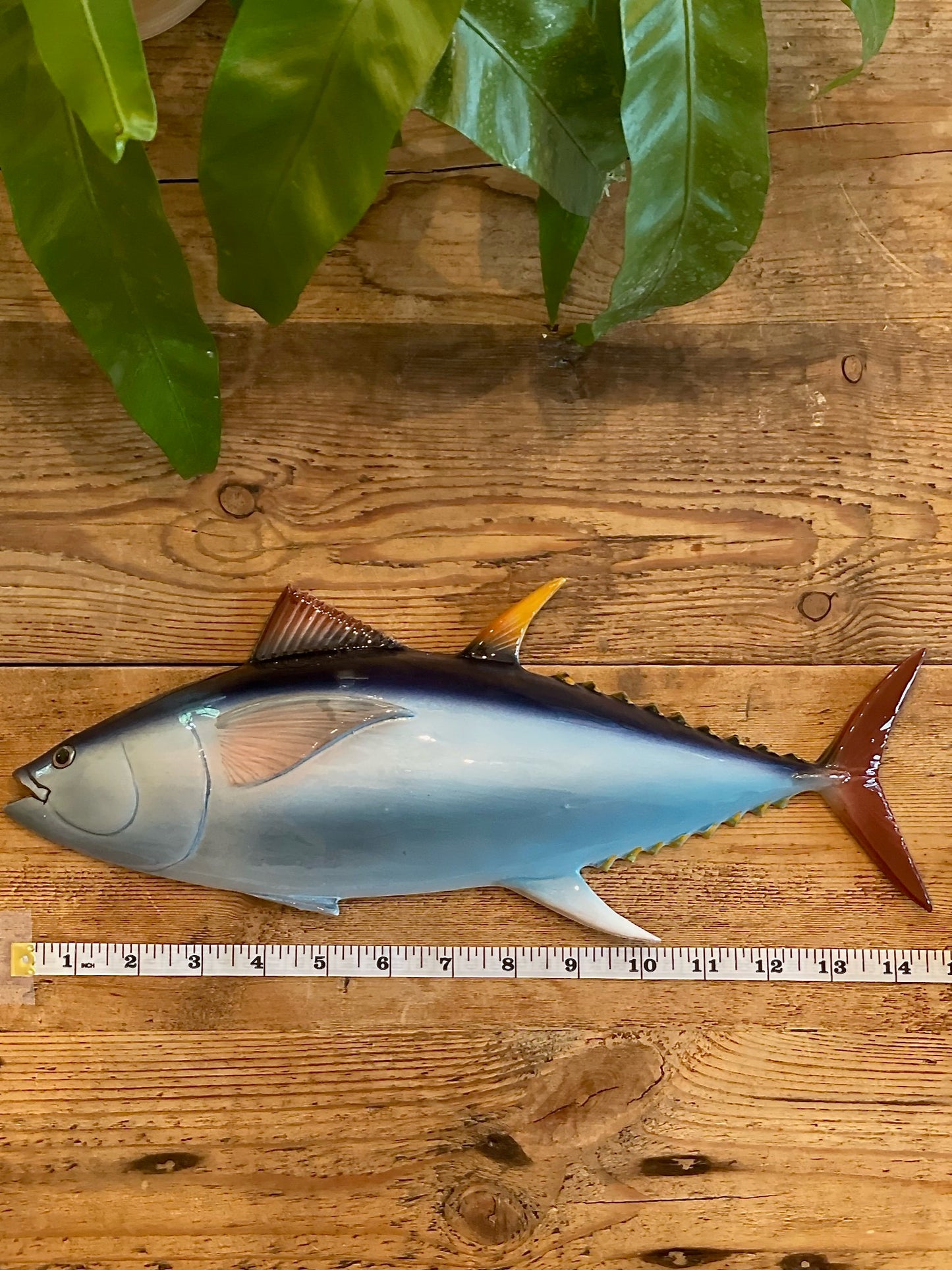 Tonno - Yellowfin Tuna