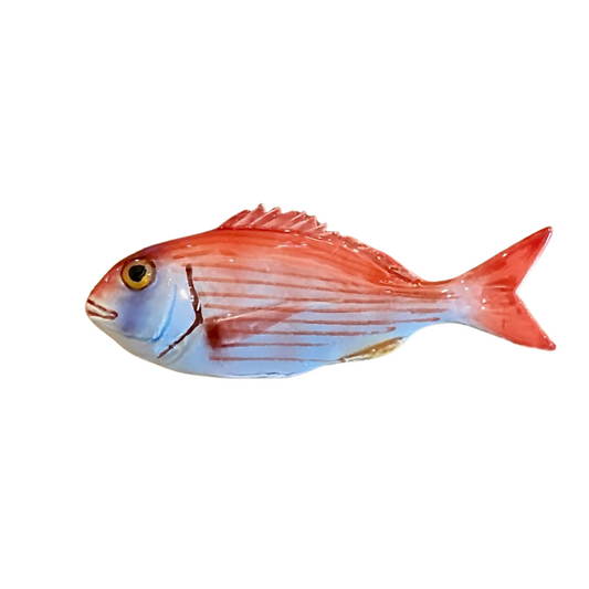 Pagello - Common Pandora