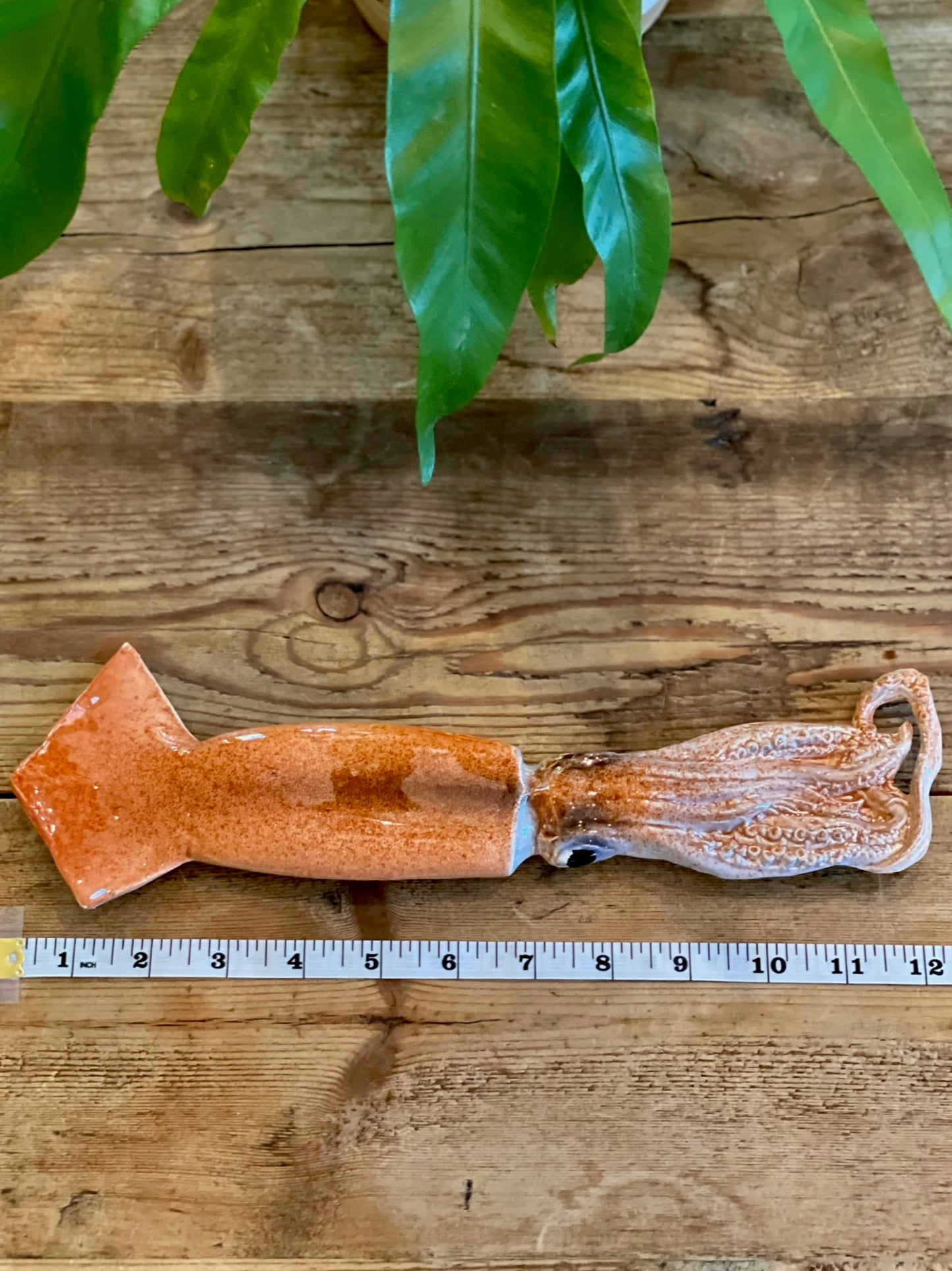 Totano Grande - Large Flying Squid