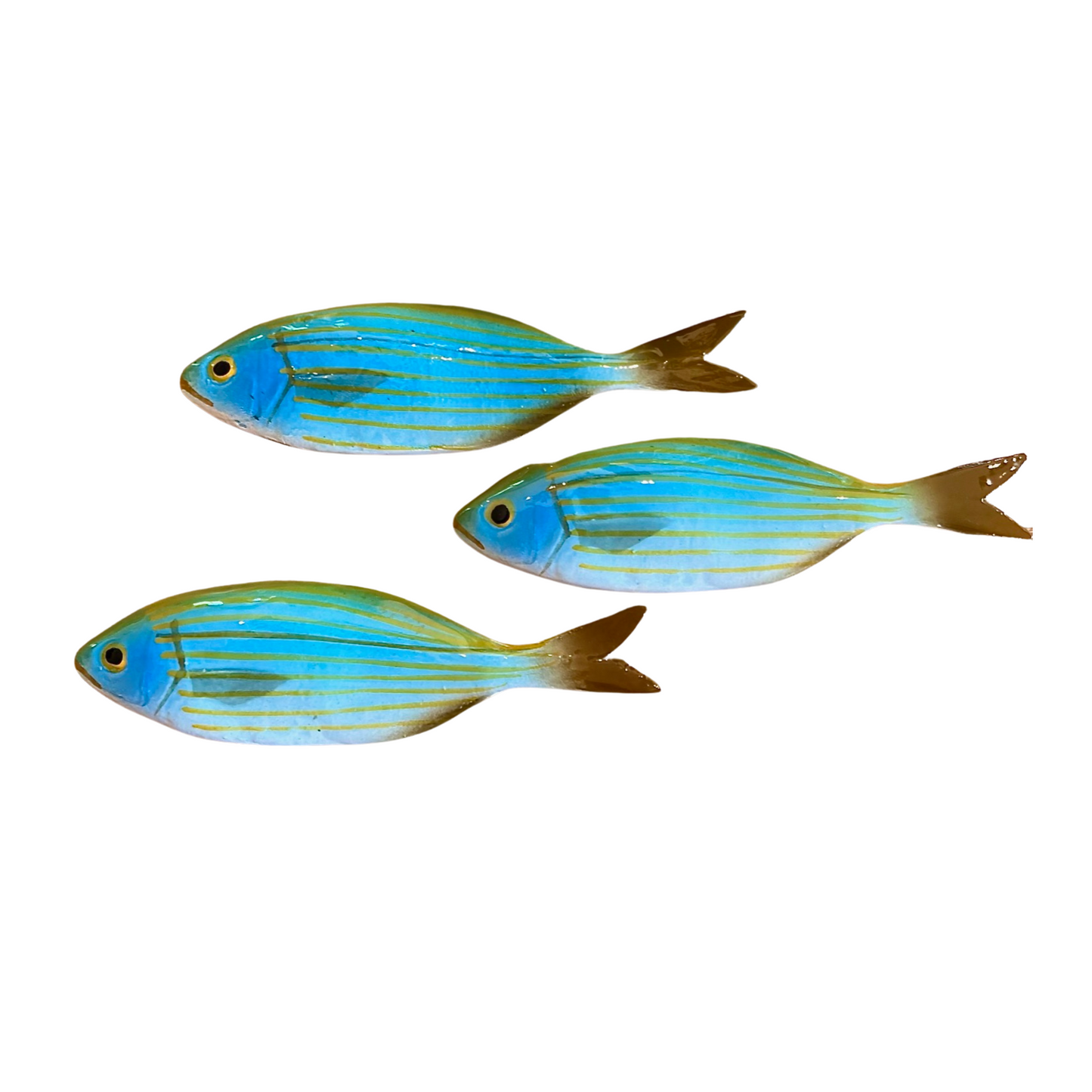 Salpa - Dreamfish