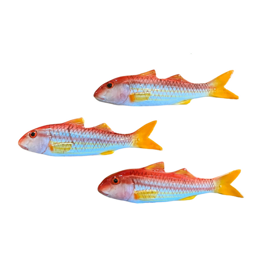 Triglia - Striped Red Mullet