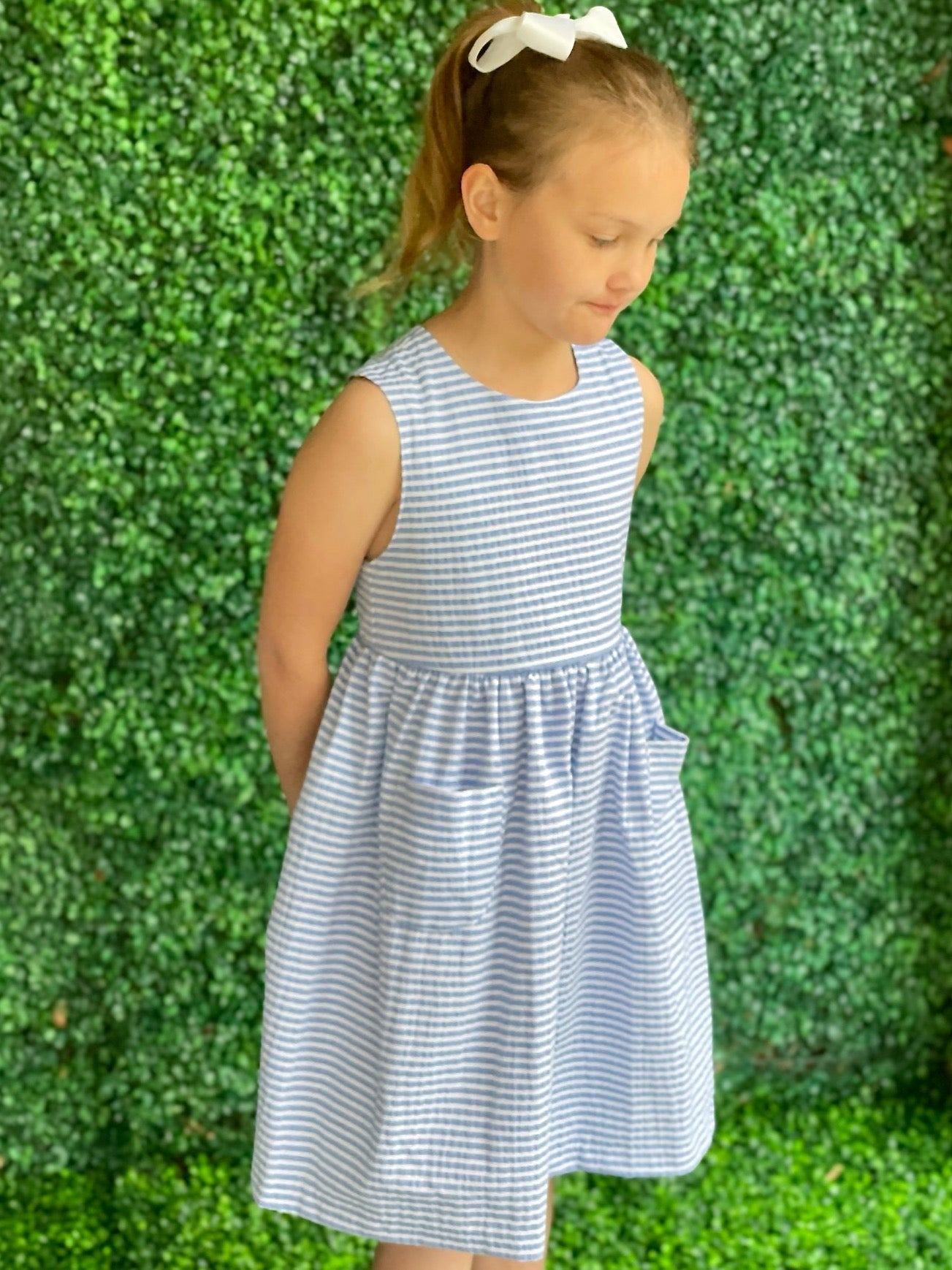 Carlotta Dress - Blue Stripe
