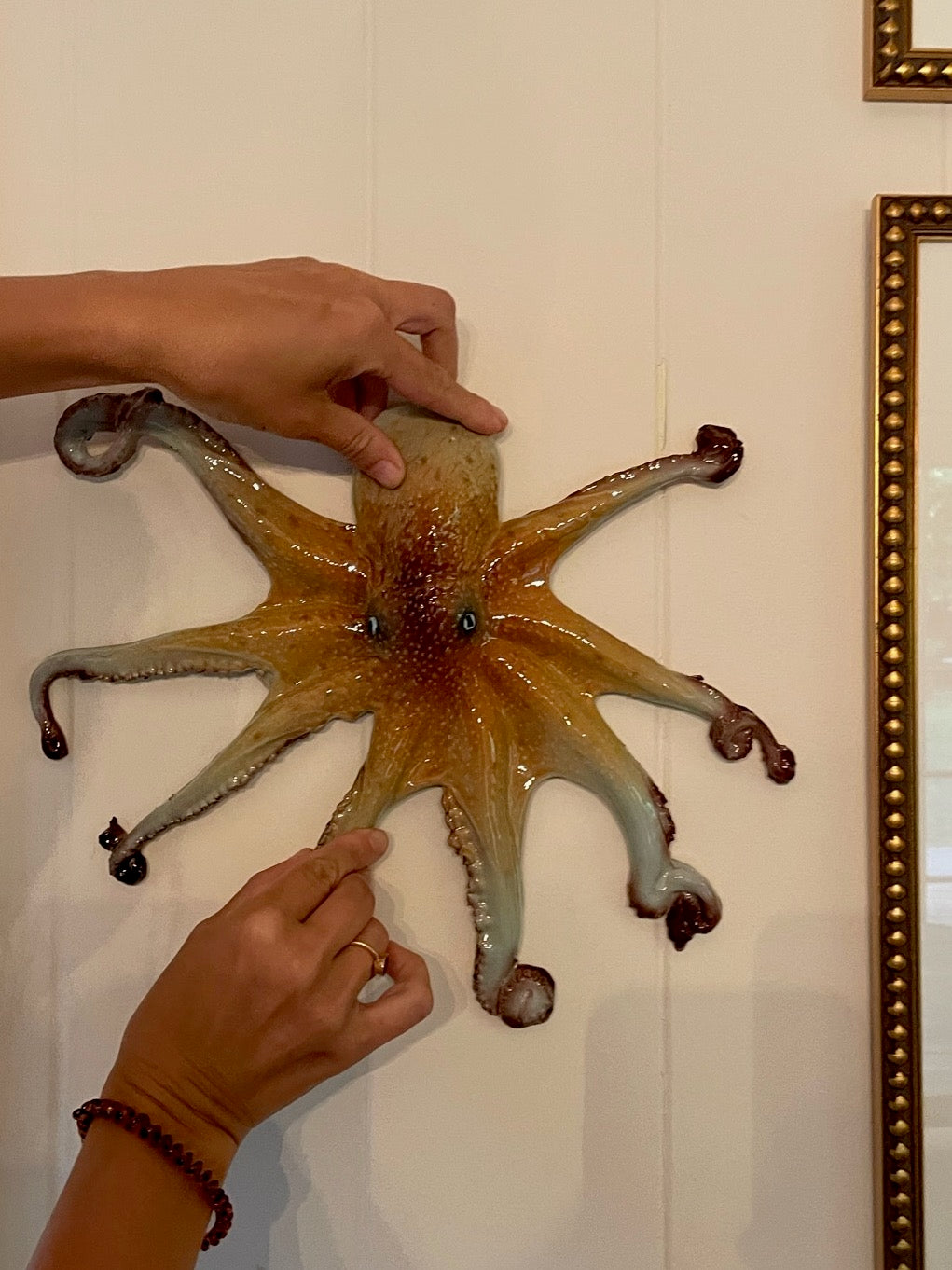 Polpo Grande - Large Octopus