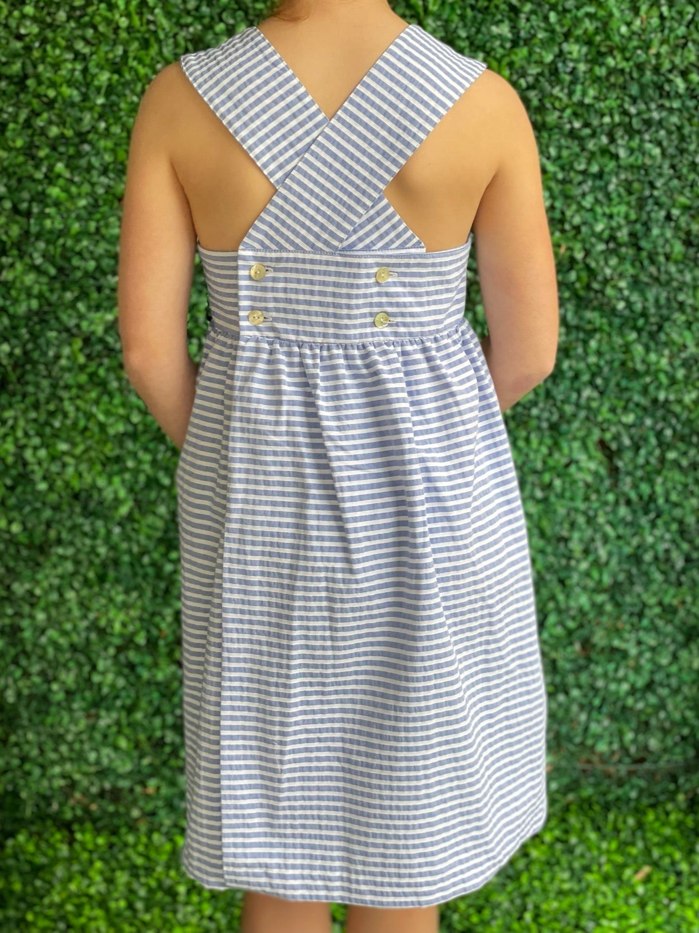 Carlotta Dress - Blue Stripe