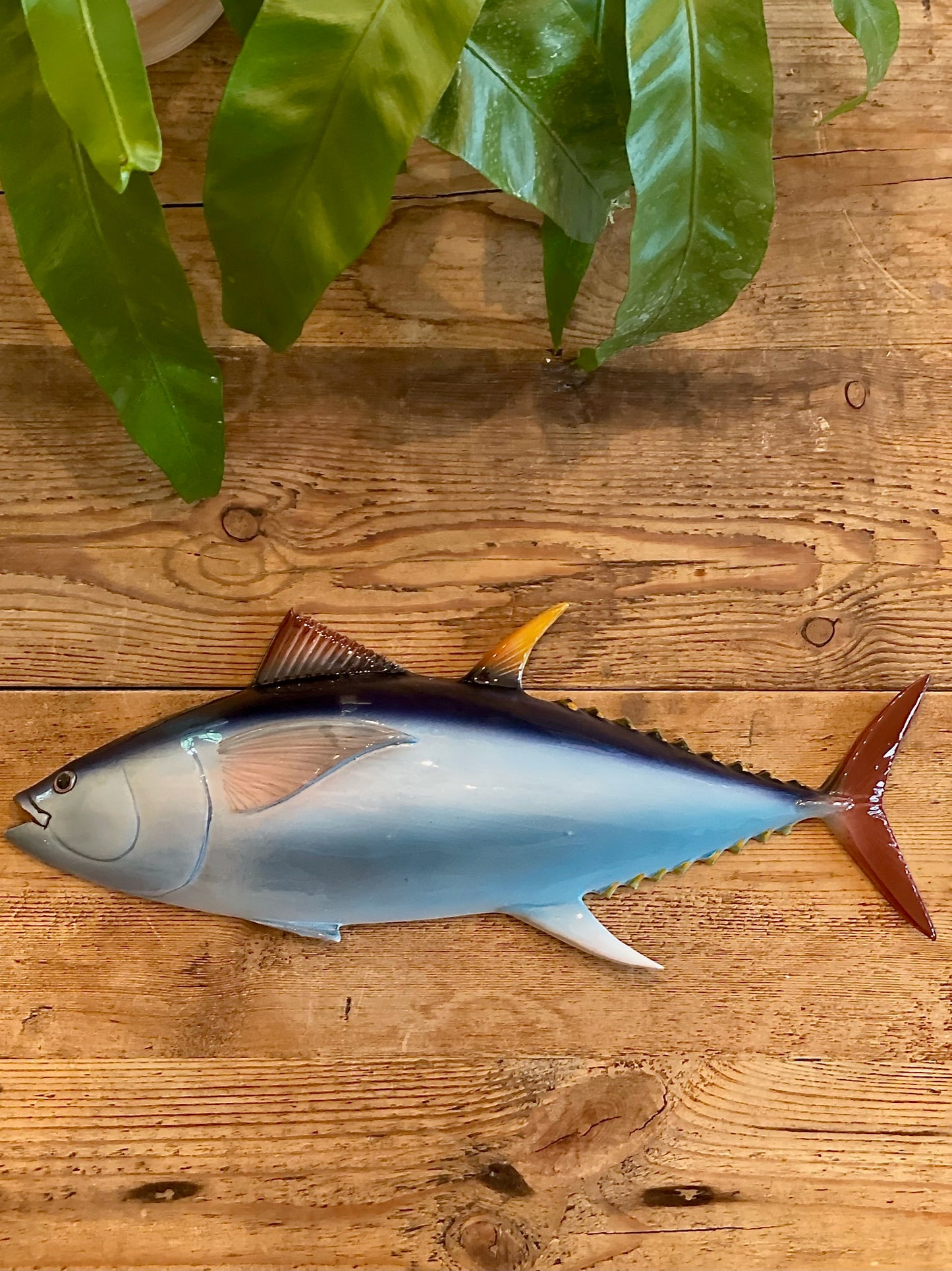 Tonno - Yellowfin Tuna