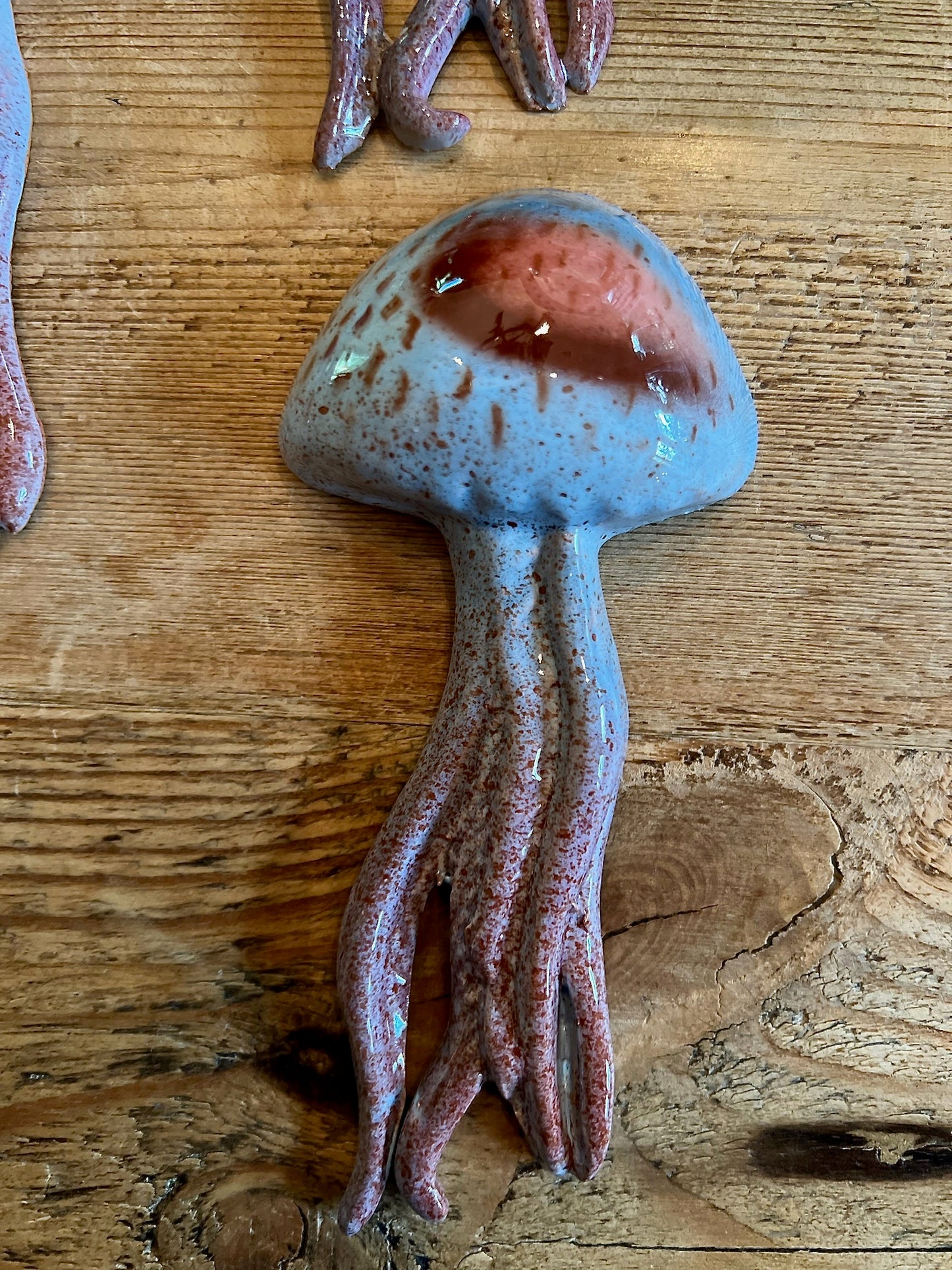 Medusa - Jellyfish