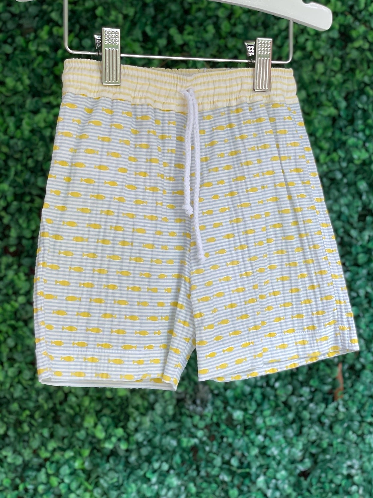 Swim Trunk - Yellow Fish
