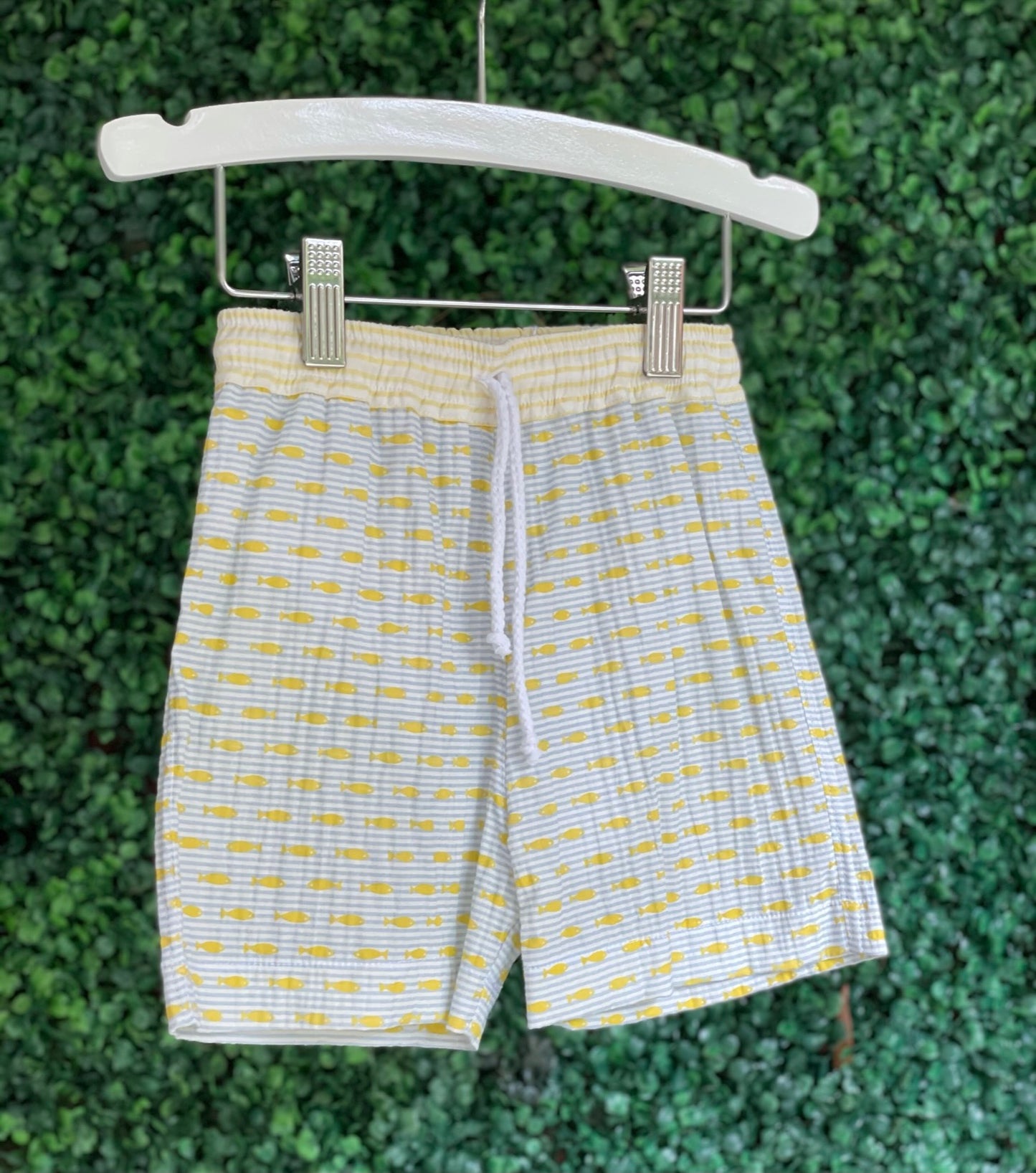 Swim Trunks - Fish