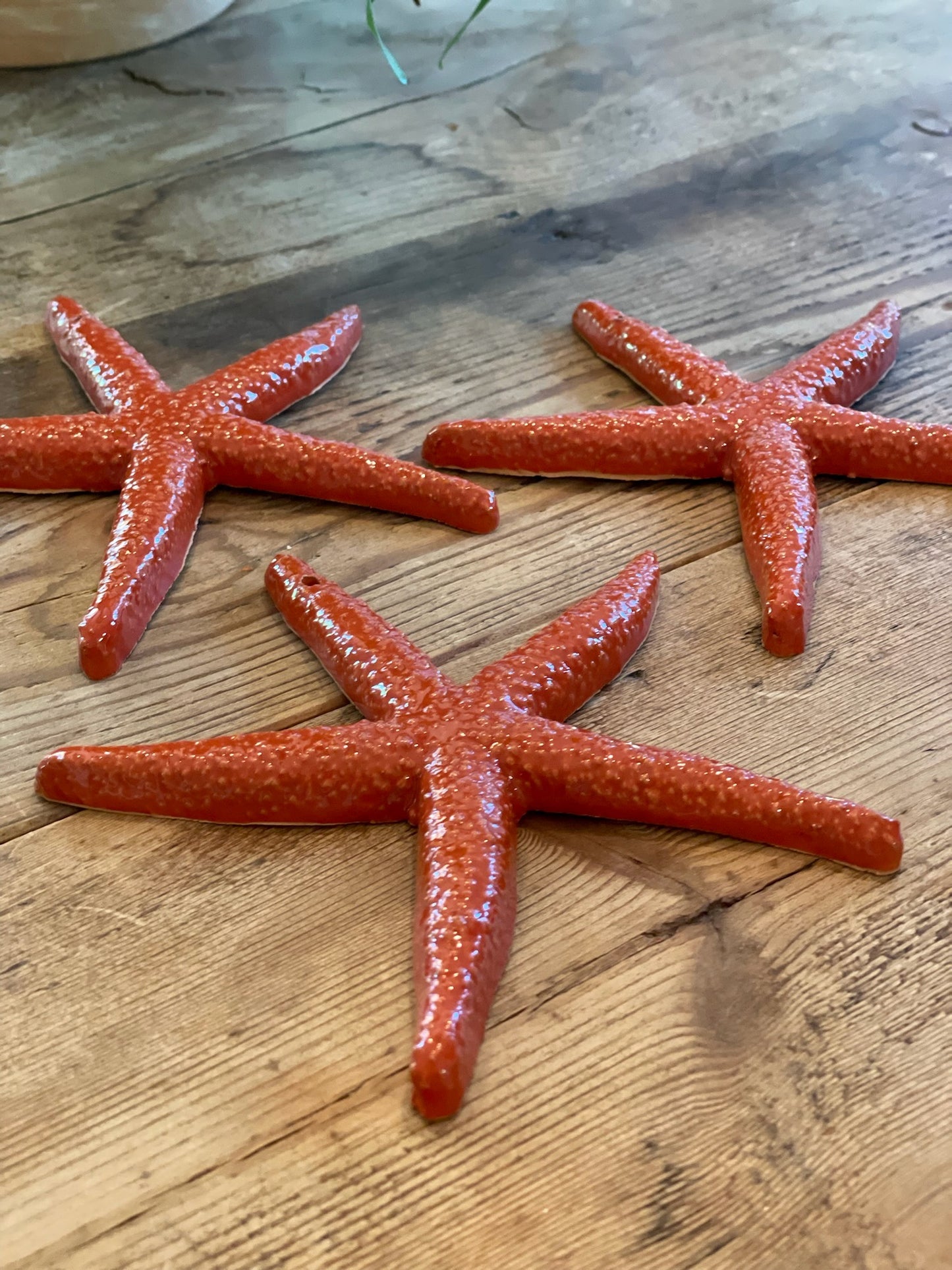 Stella Marina - Red Starfish
