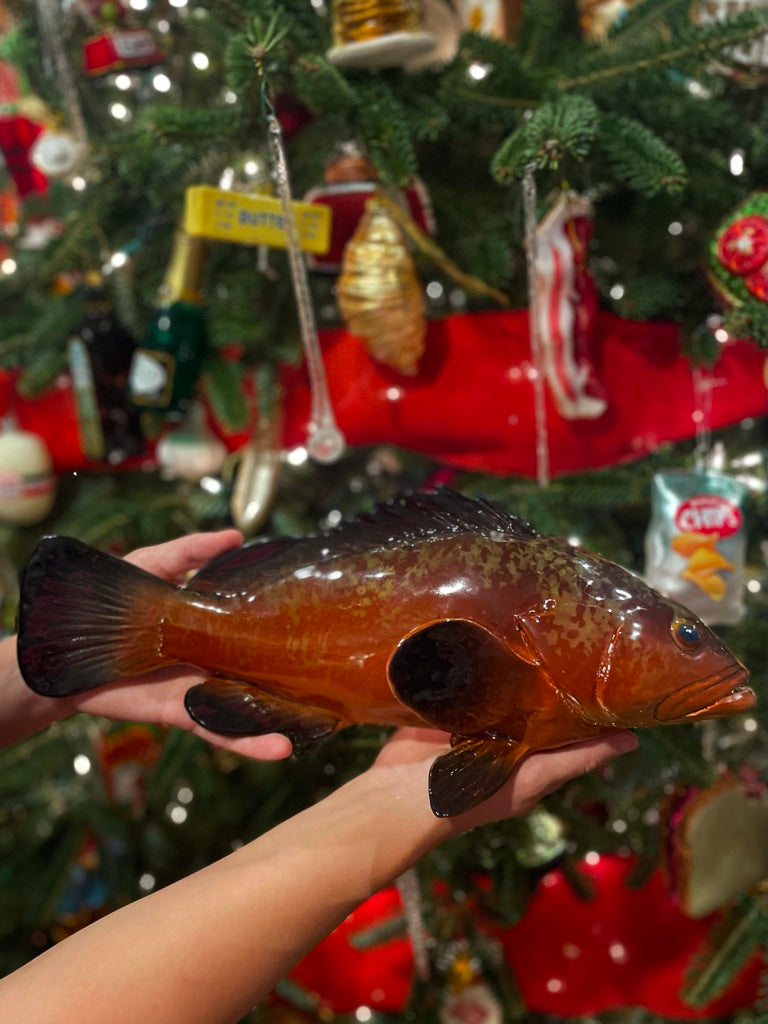 Cernia Grande - Large Dusky Grouper