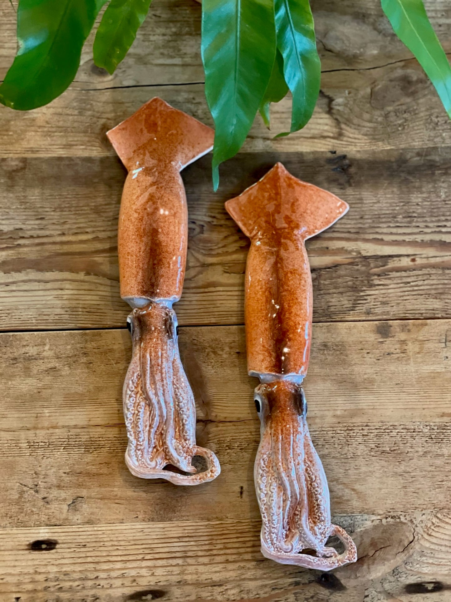 Totano Grande - Large Flying Squid