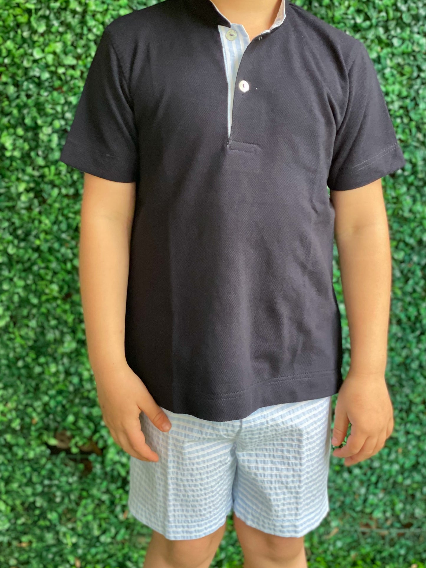 Knit Polo - Navy/Stripe