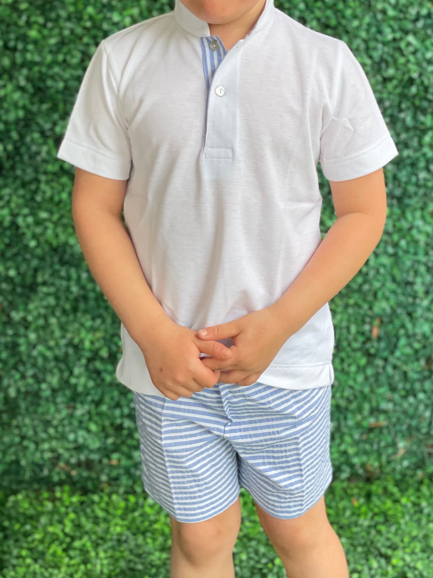 Knit Polo - White/Stripe