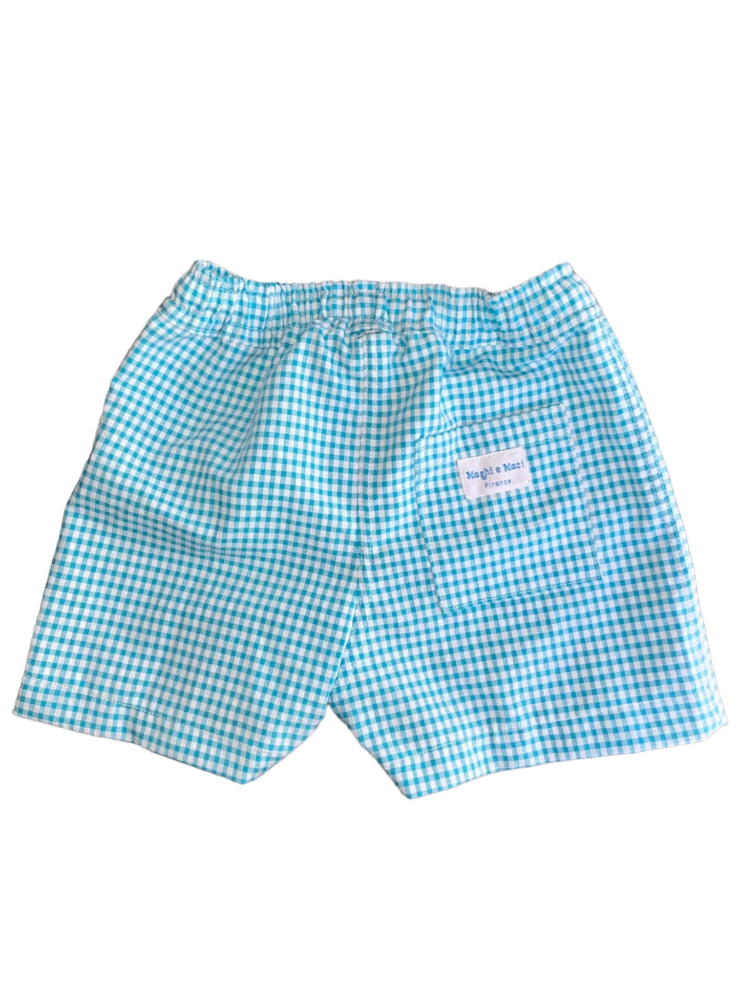 Swim Trunks - Teal Gingham