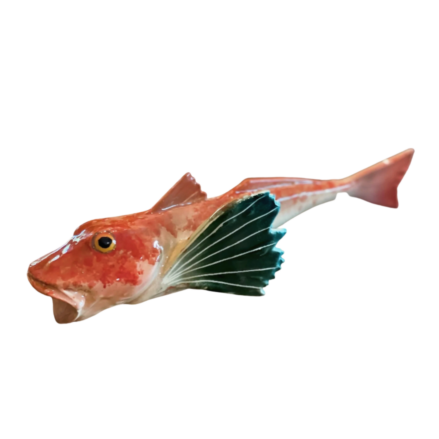 Gallinella - Tub Gunard/ Dog Fish