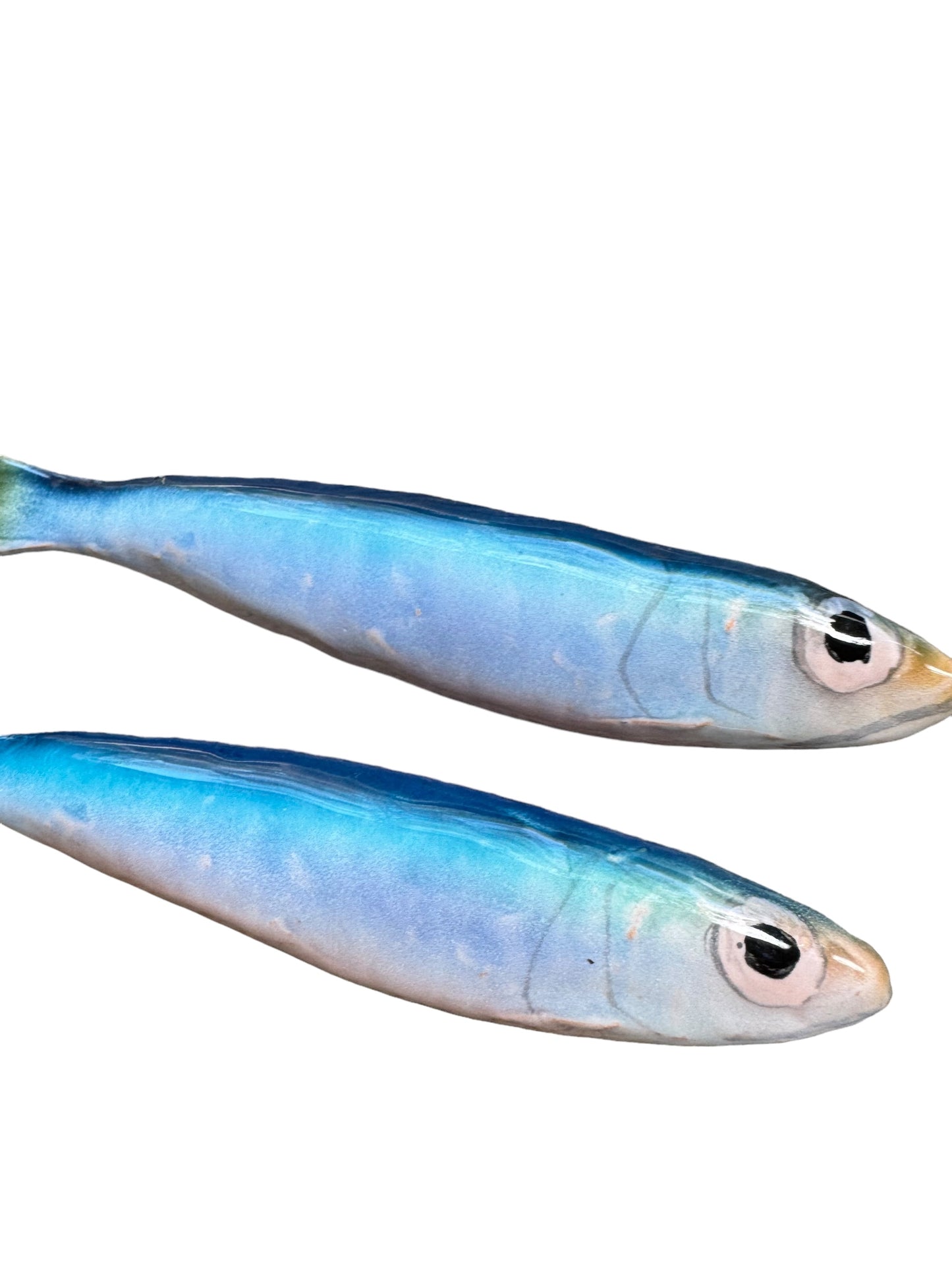 Sardinia - Sardine
