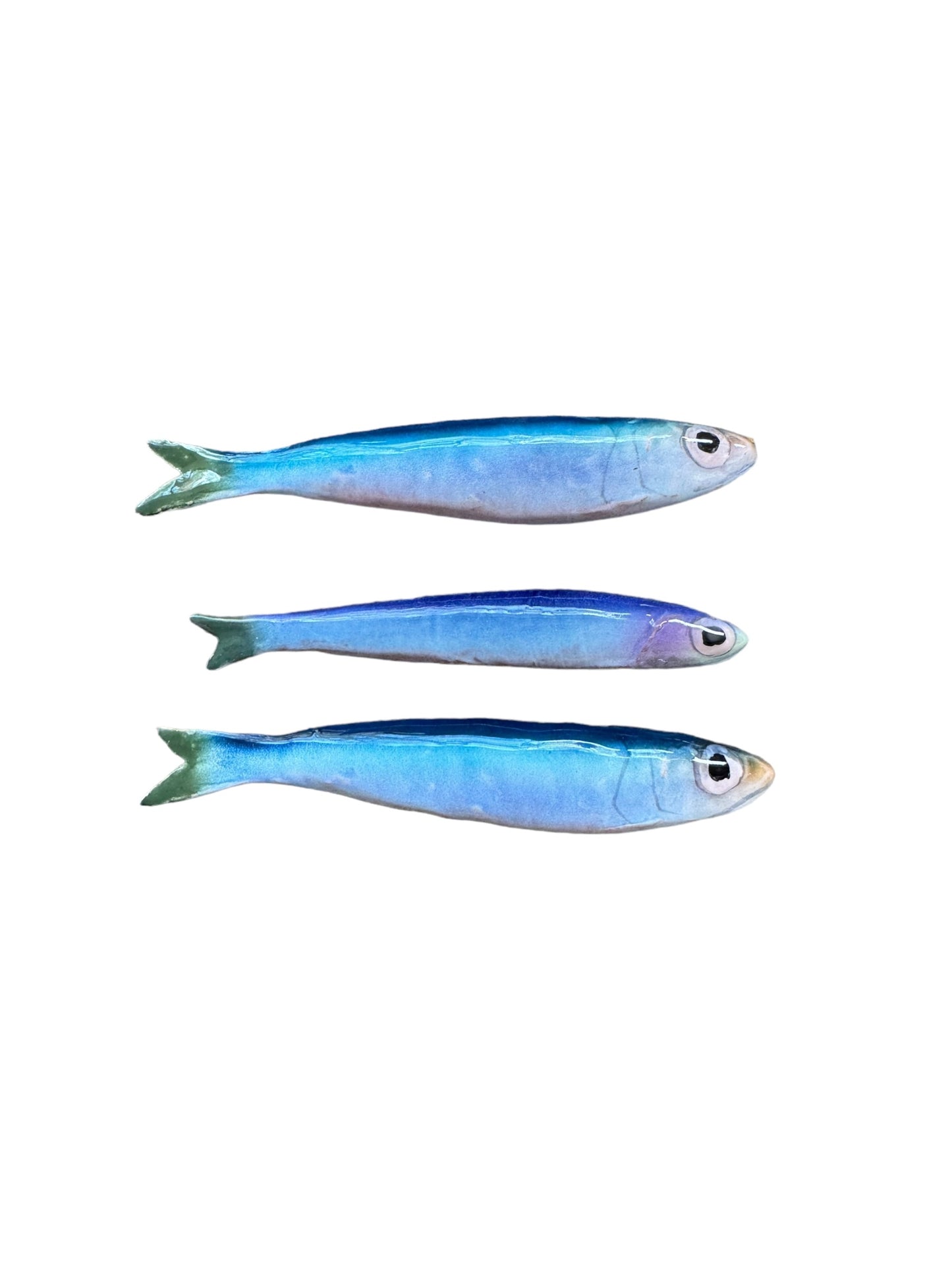 Sardinia - Sardine