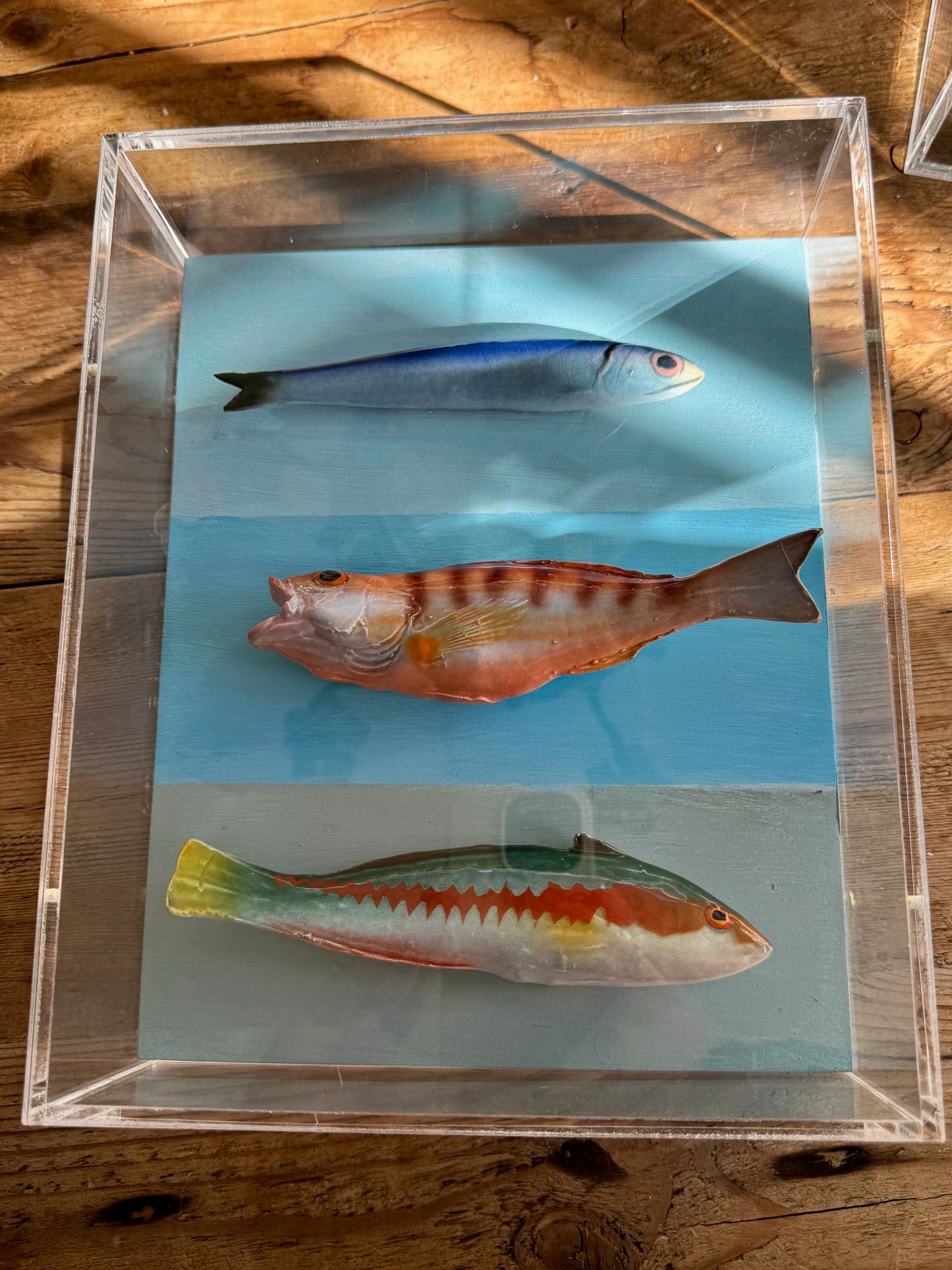 Mediterranean Trio - 8"x10"