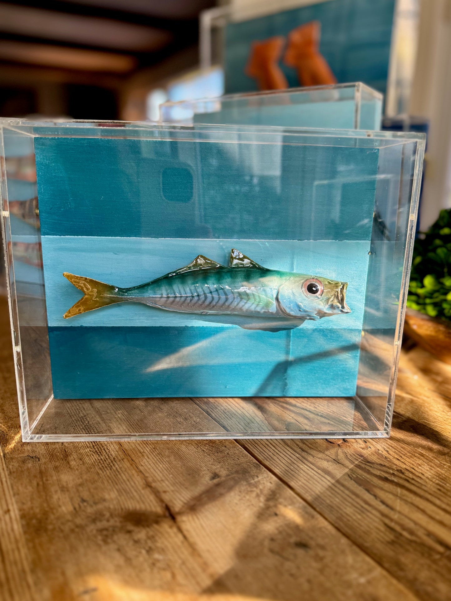 Mackerel - 8"x10"