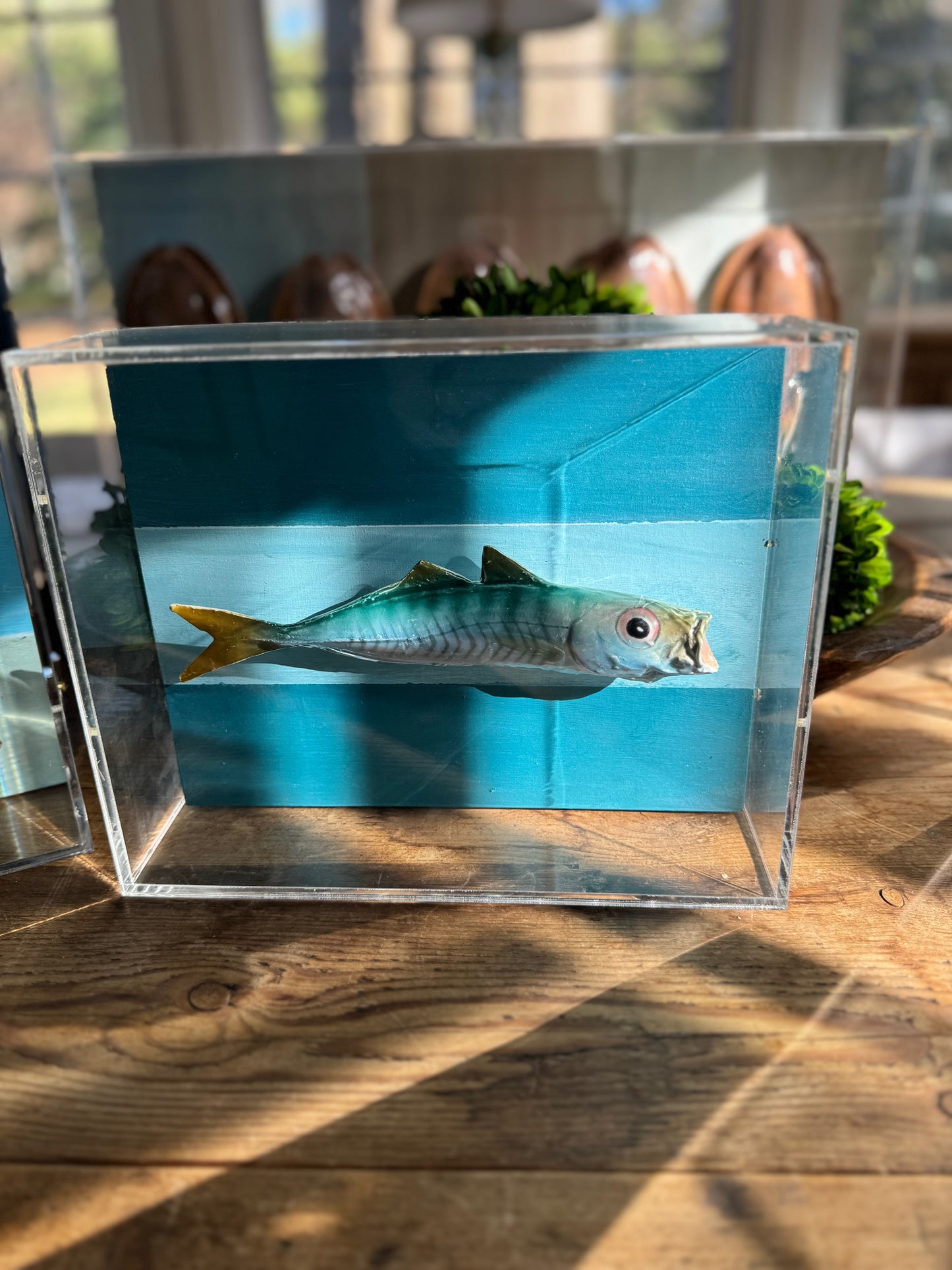 Mackerel - 8"x10"