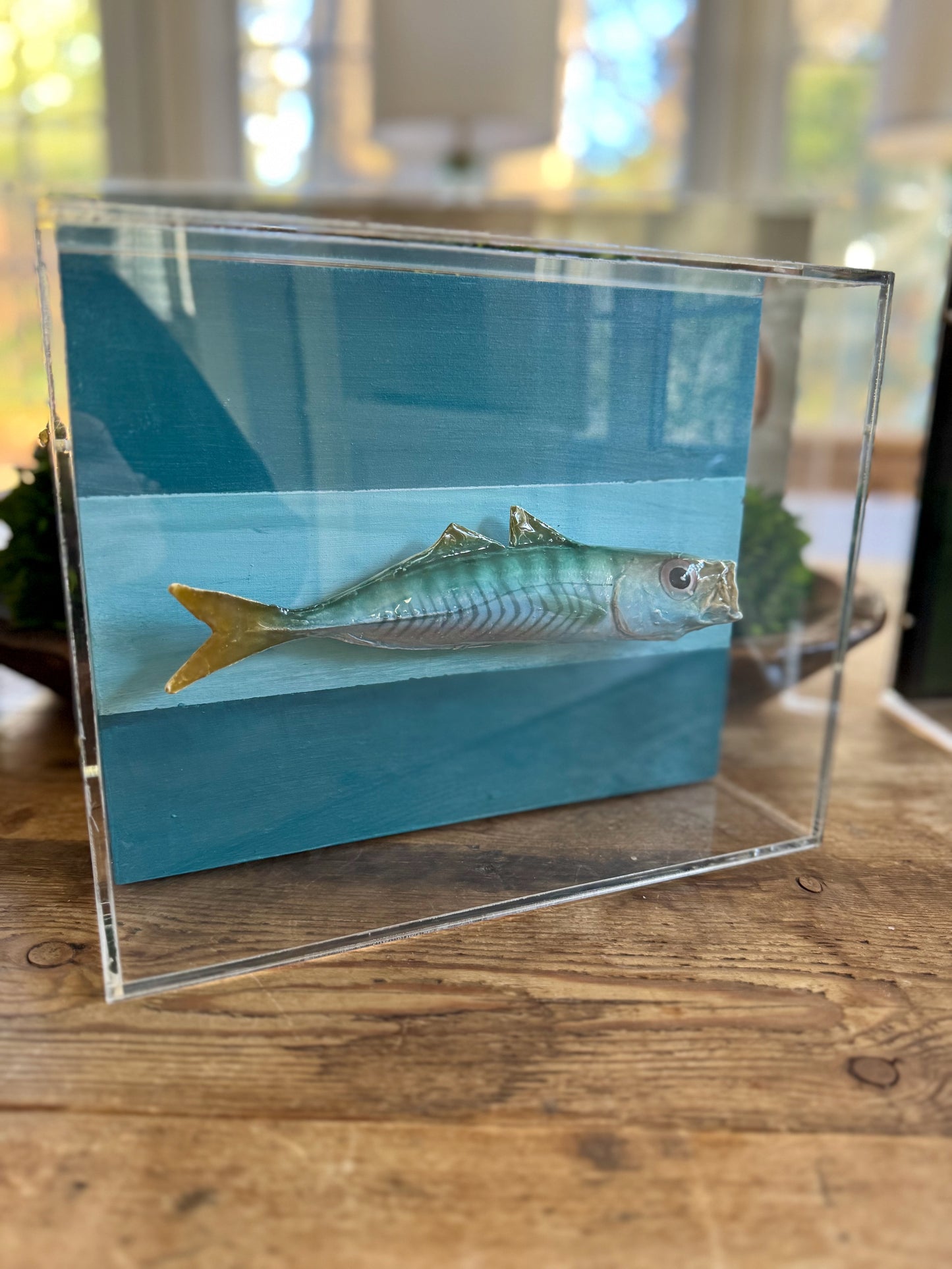 Mackerel - 8"x10"