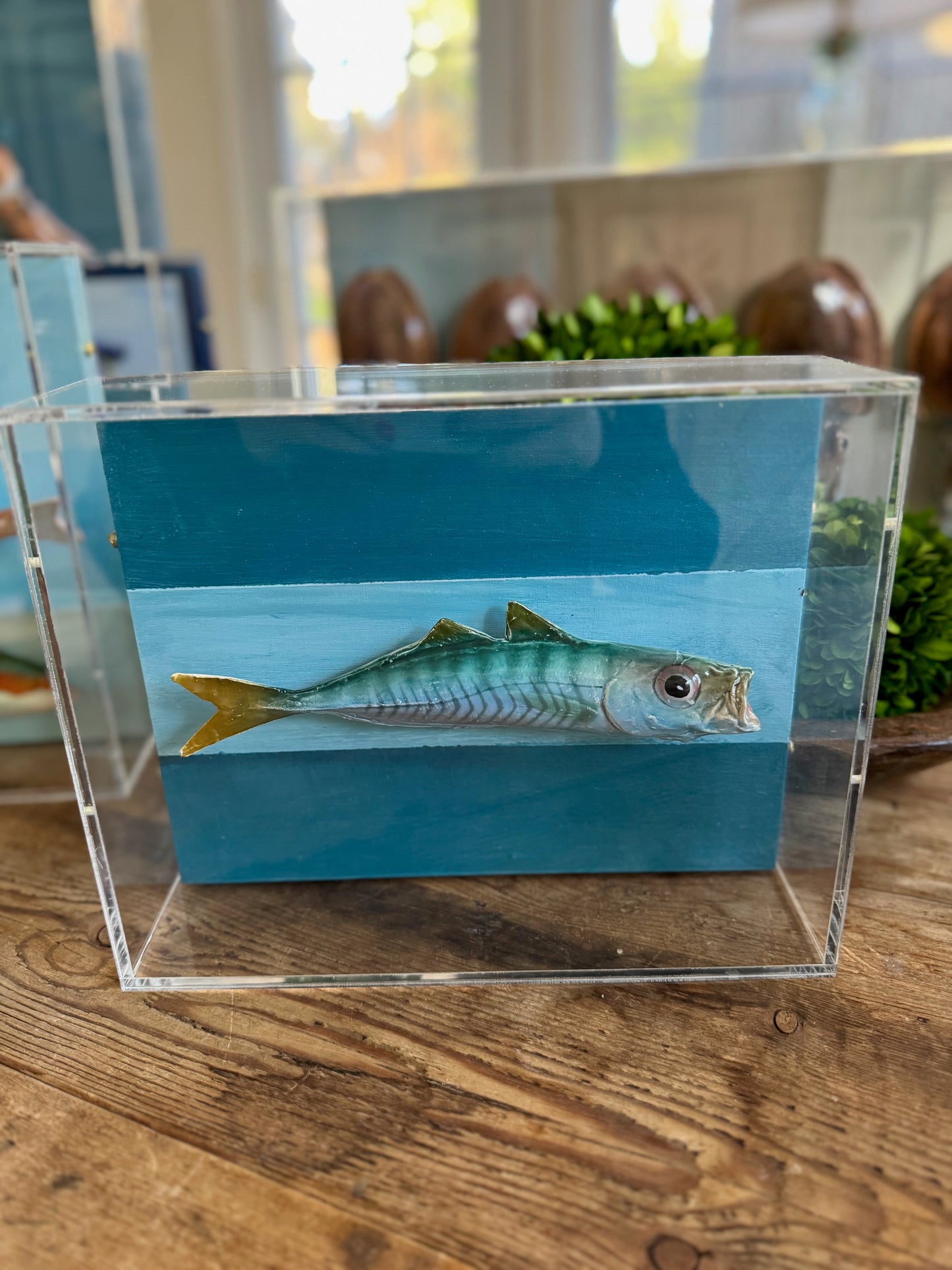 Mackerel - 8"x10"