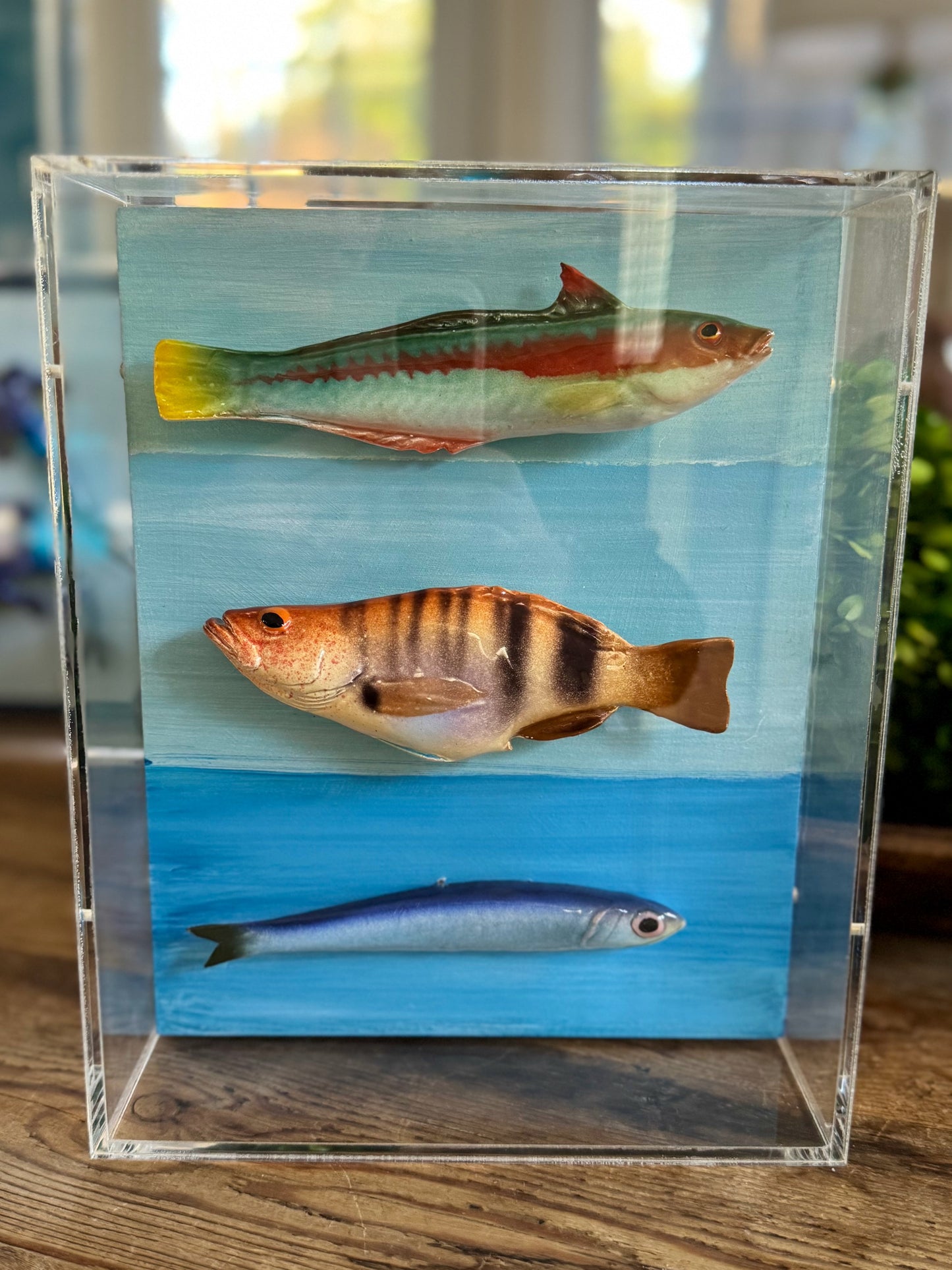 Mediterranean Trio  -      8"x10"