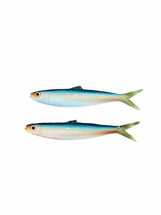 Alaccia - Golden Sardine