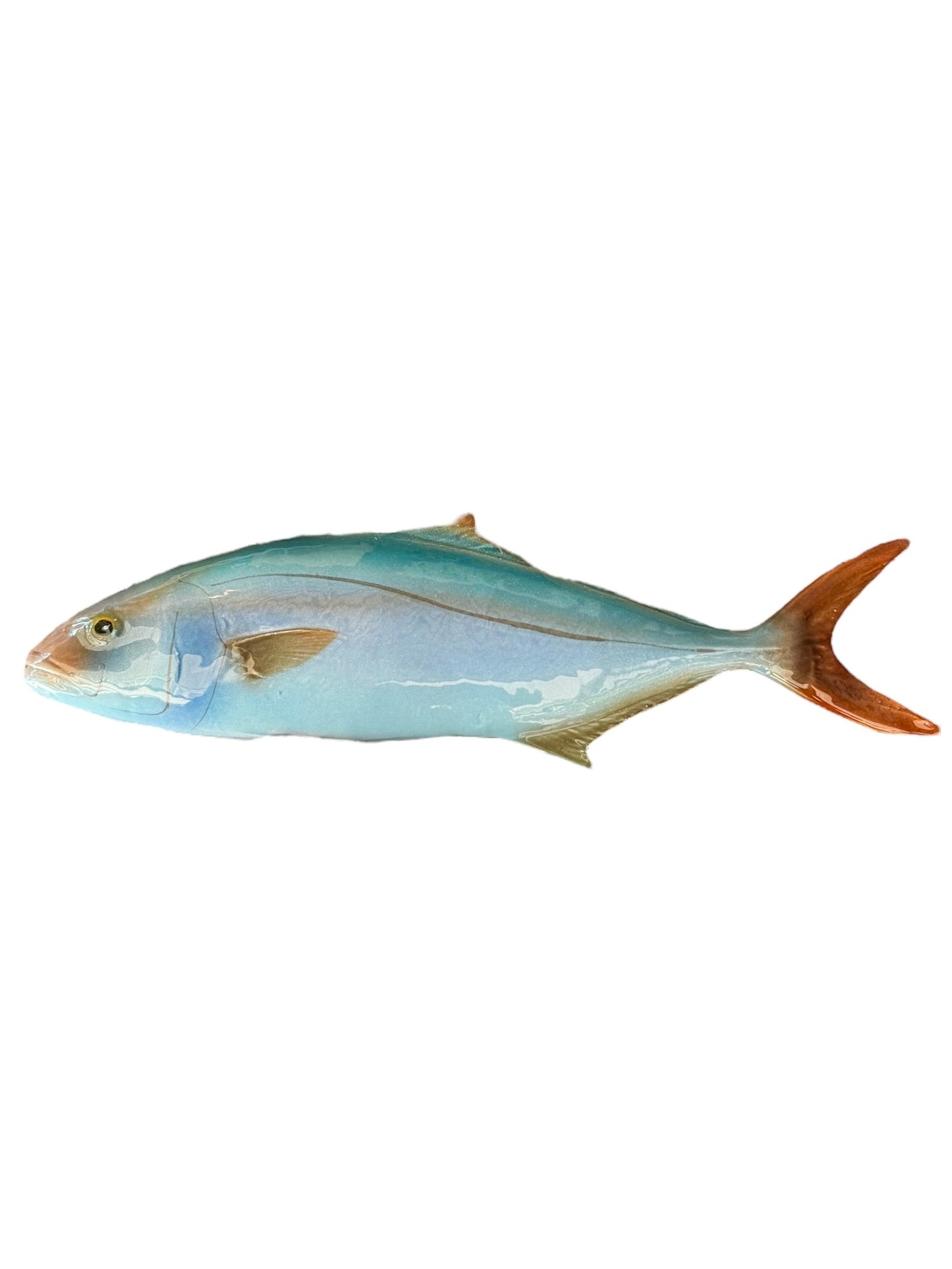 Ricciola - Amberjack